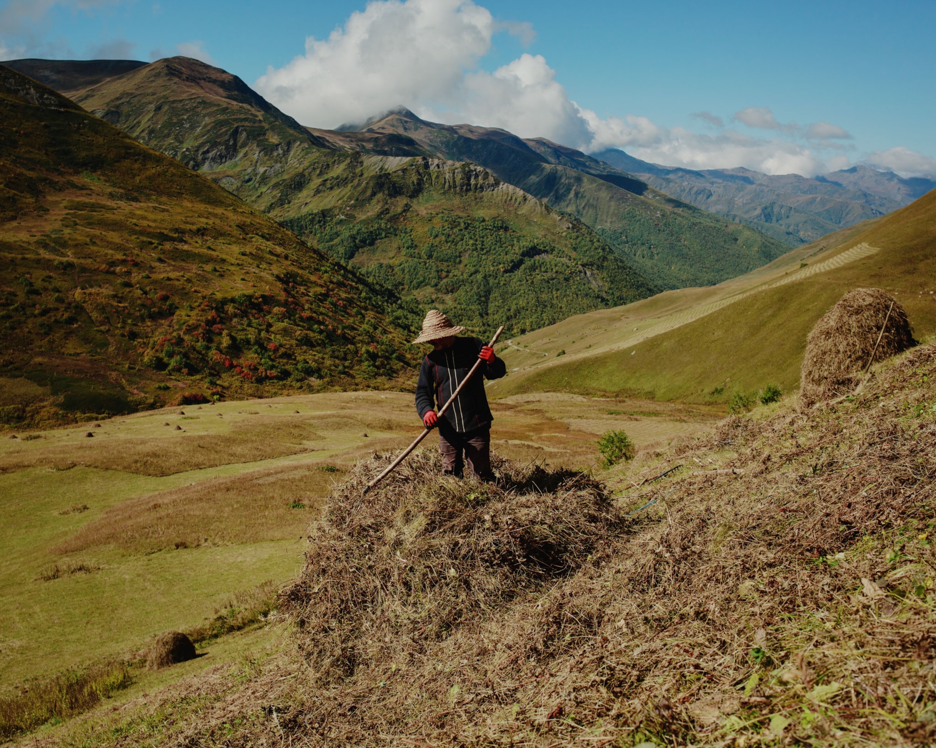a person raking hay in Georgia
