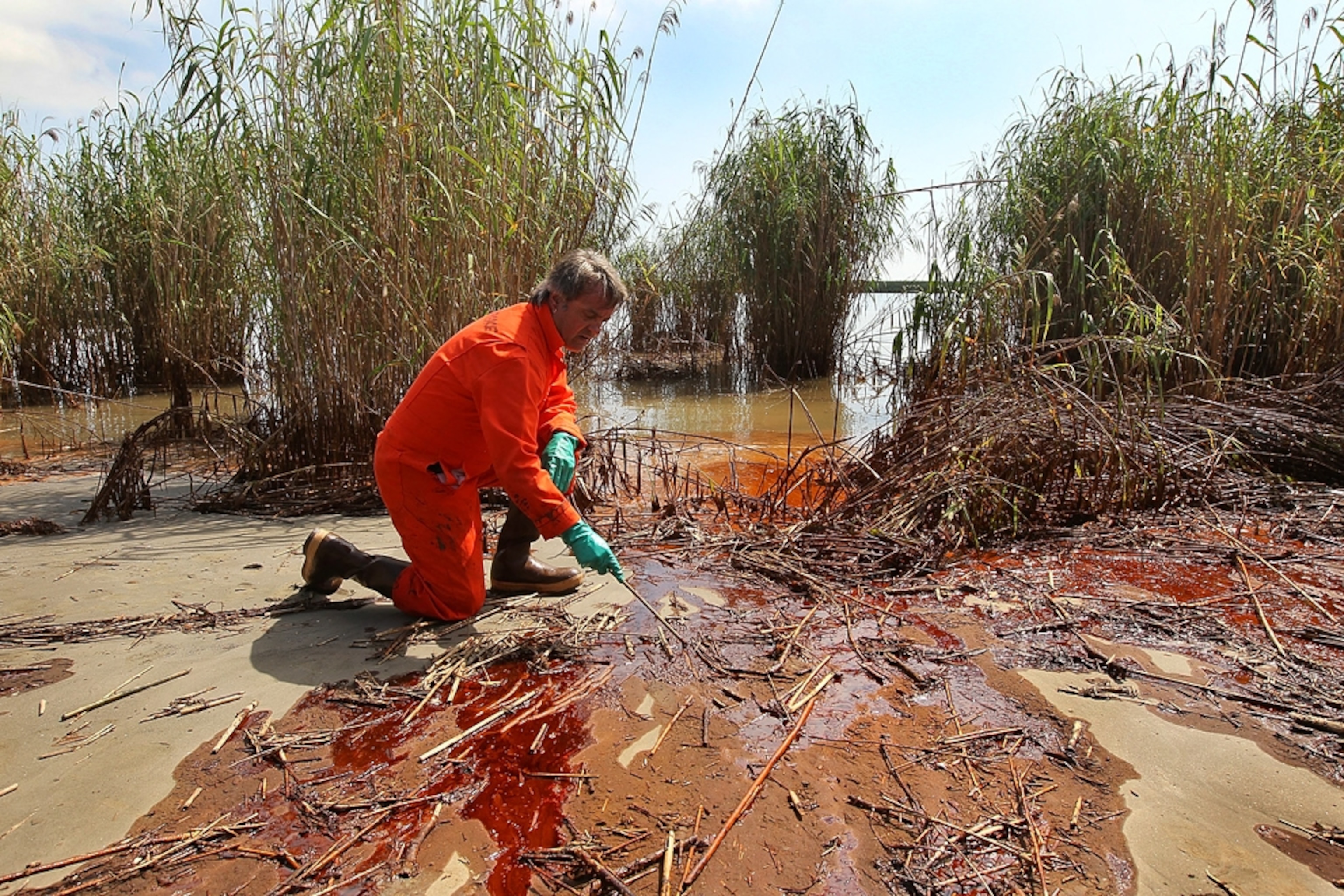 A biologist inspects oil washed ashore from the Gulf oil spill.
