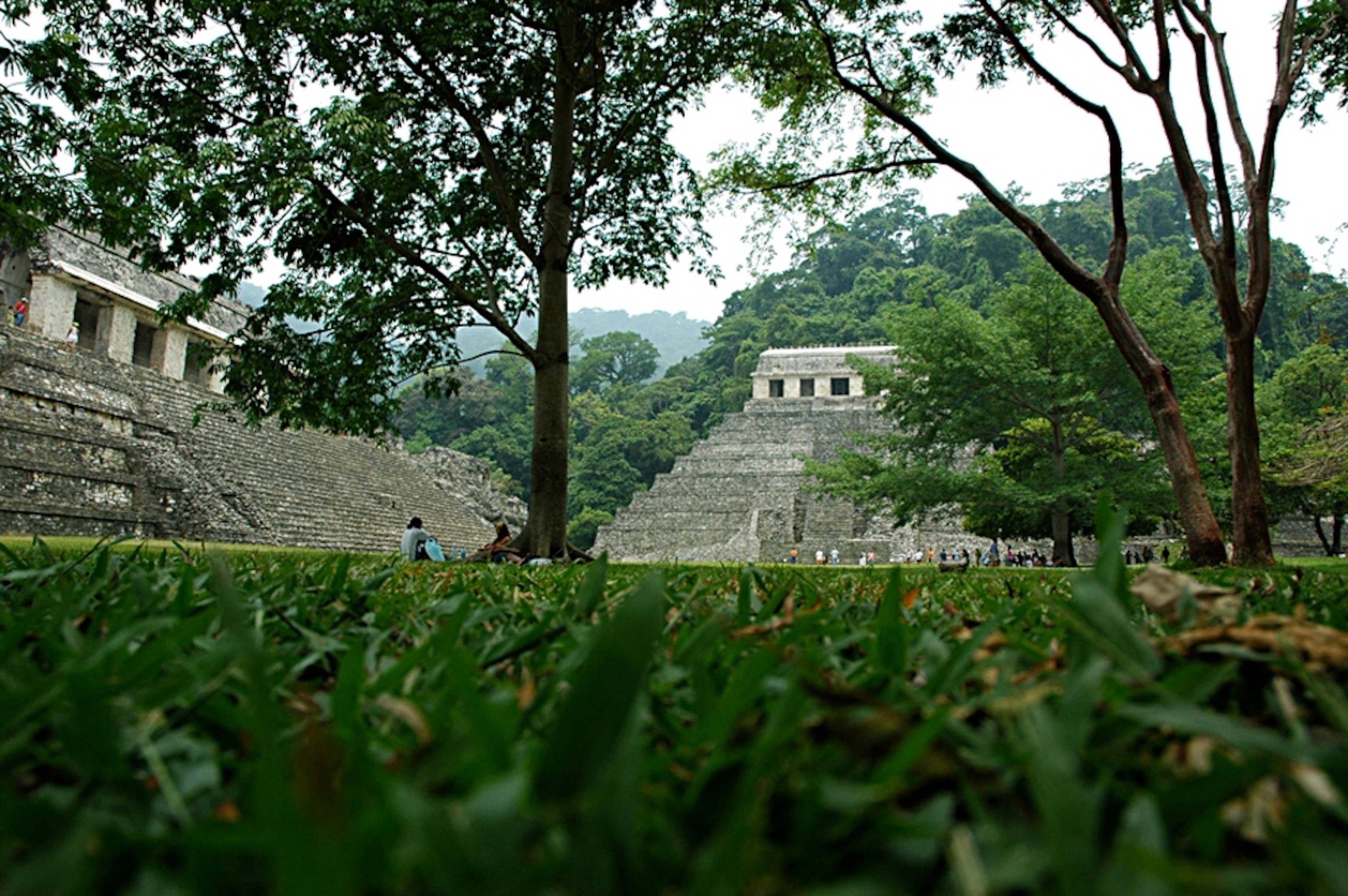 Maya ruins at Palenque, Chiapas, Mexico