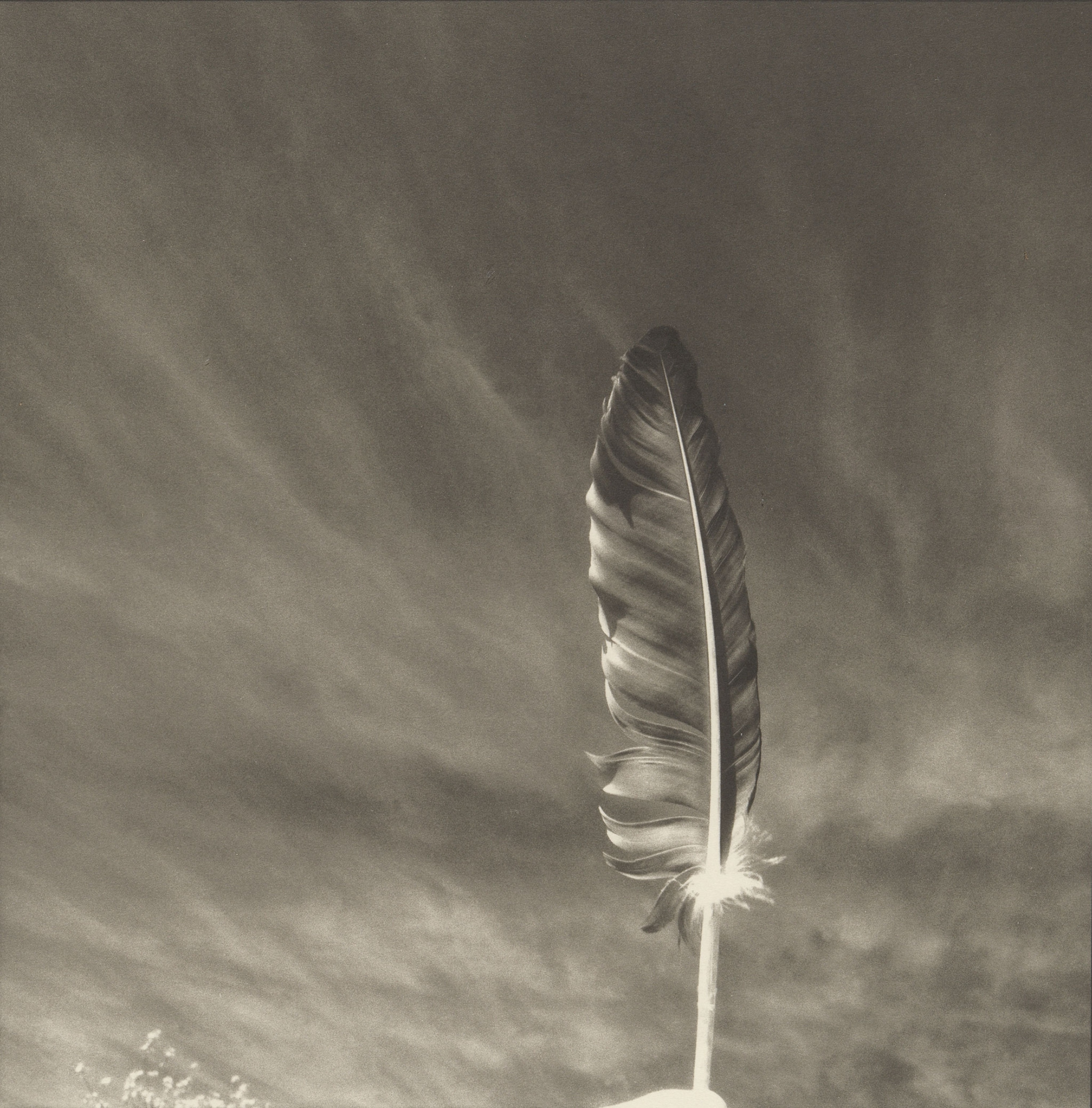 a white and gray feather held up to a sky with wispy clouds, black and white