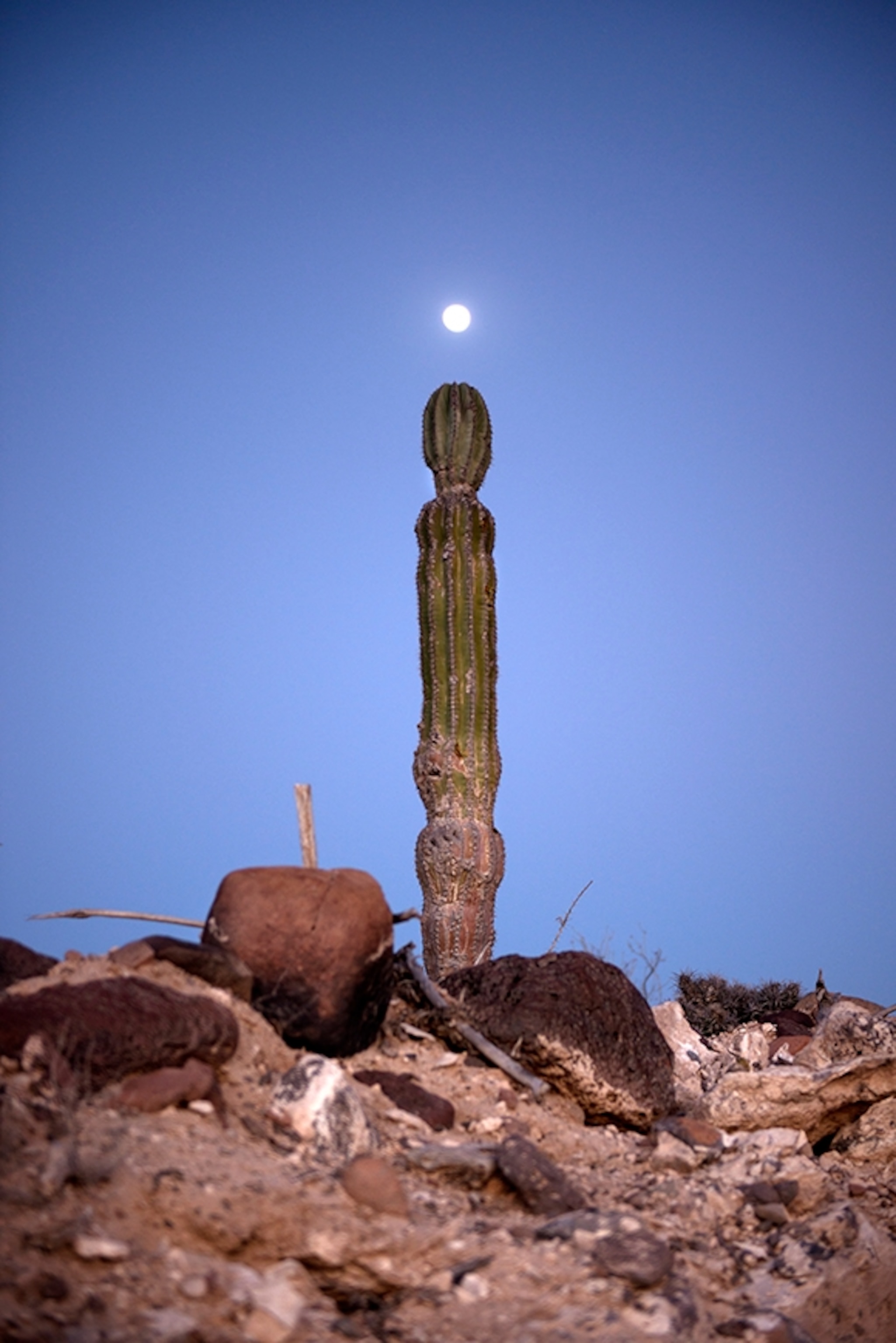 A full moon rises over Baja California, Mexico; Photograph by Max Lowe