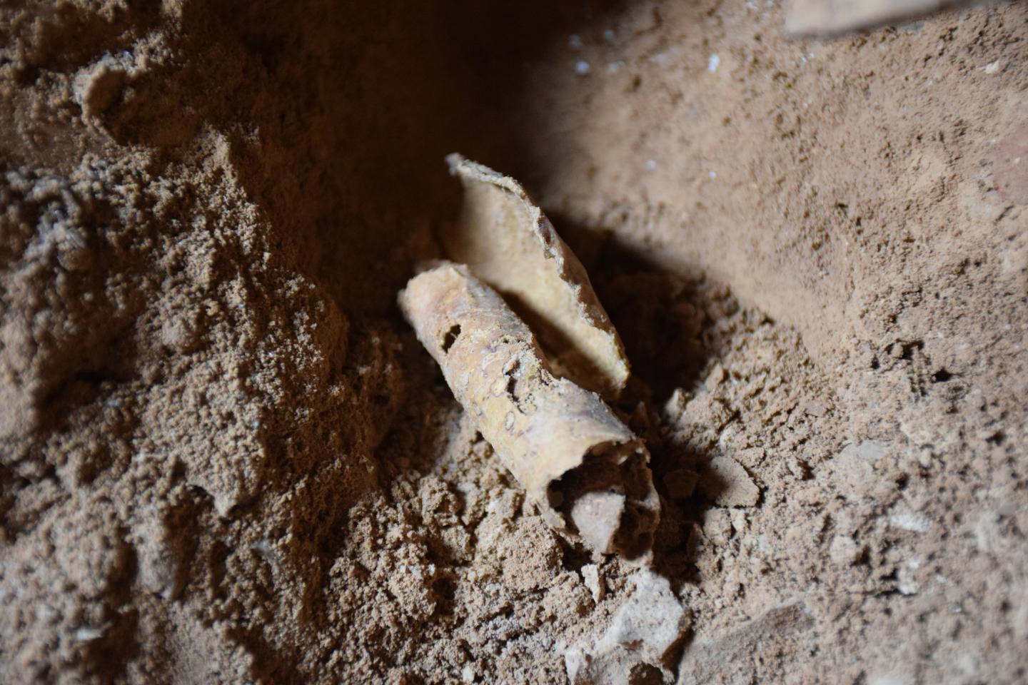Dead Sea Scroll Cave Discovery In West Bank May Help Detect Forgeries Dead Sea Scroll Cave Discovery In West Bank May Help Detect Forgeries