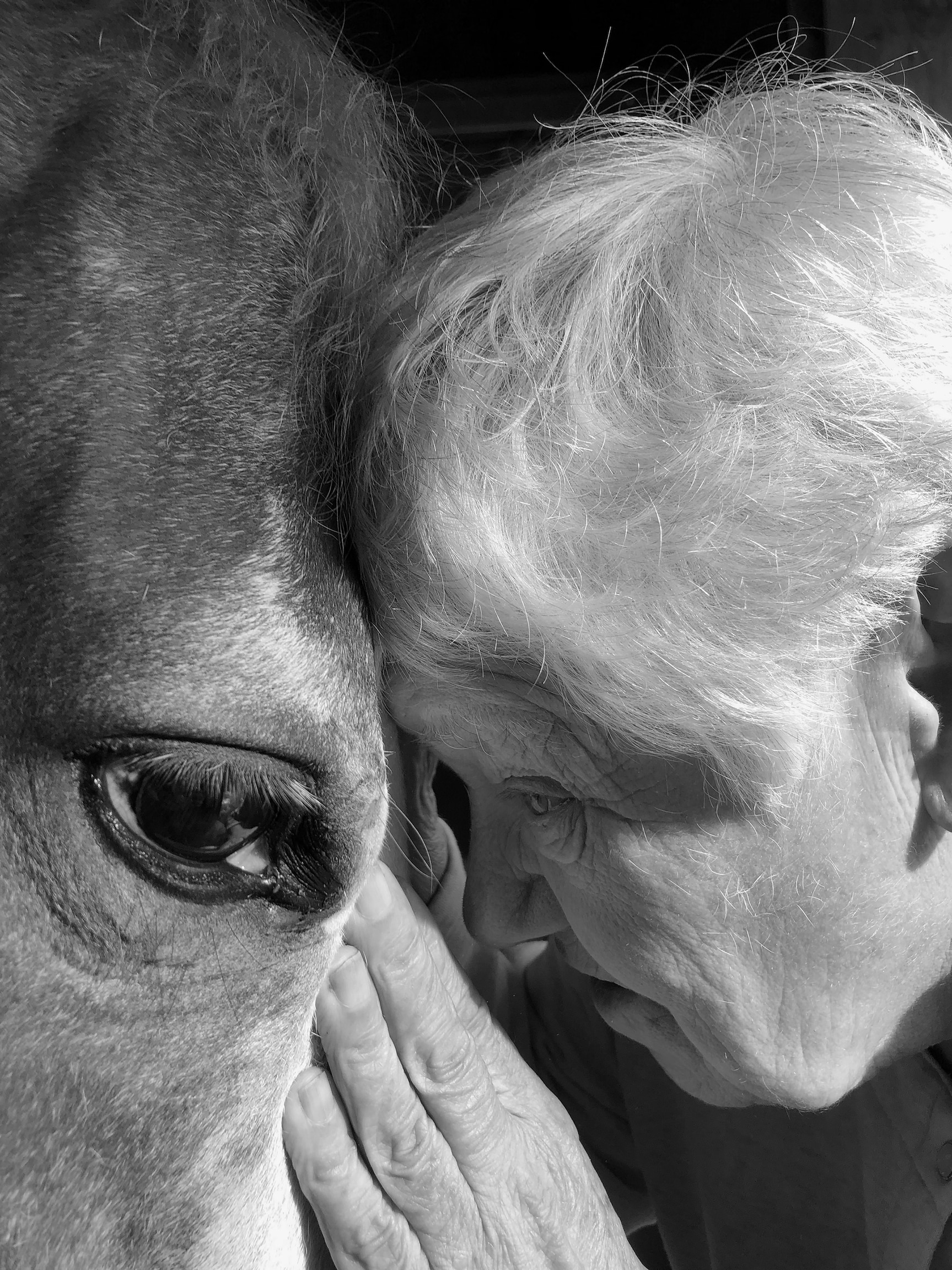 A woman pressing her head against a horse