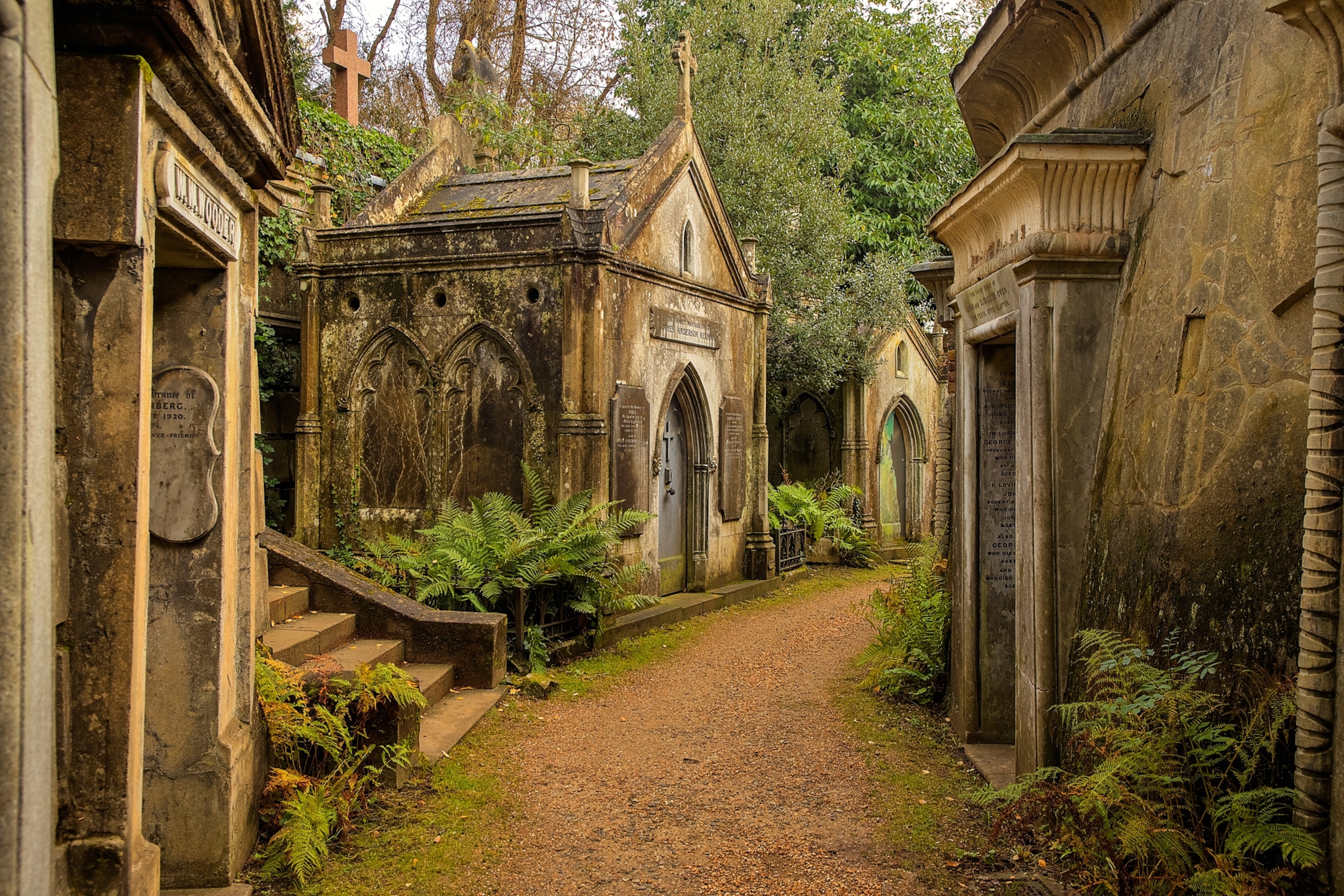 A narrow path winds between historic stone mausoleums and tombs covered with moss and ferns in an old cemetery surrounded by trees.