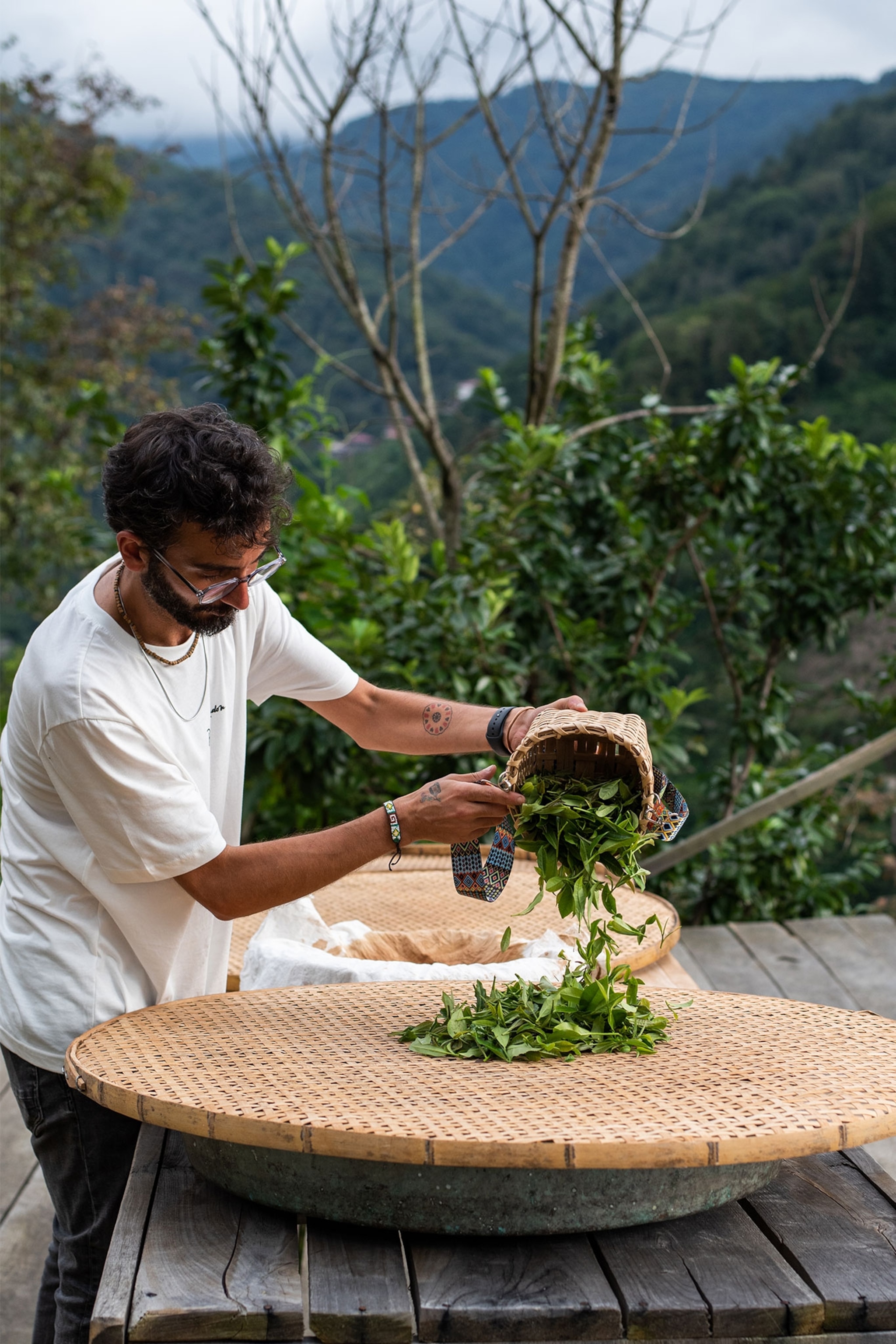 Yuchi Pirim drying tea leaves