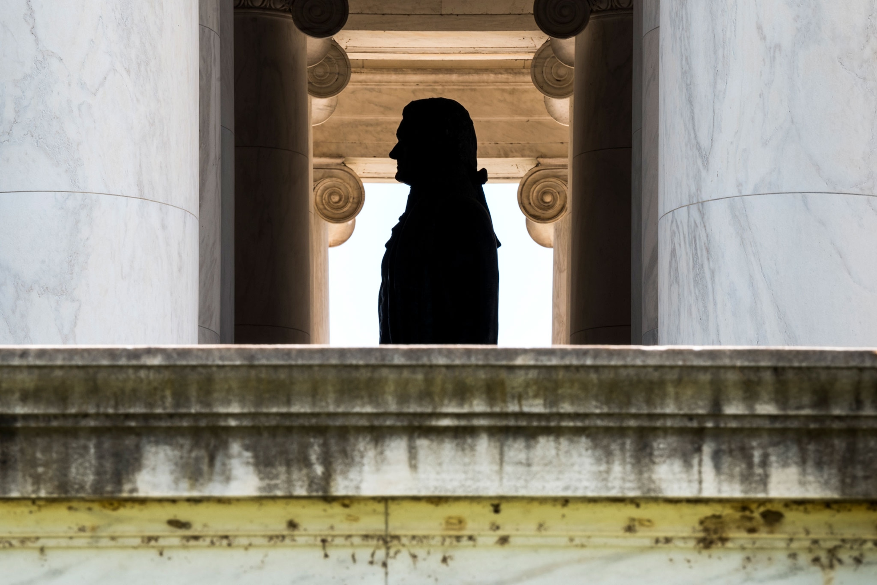 biofilm growing on the Jefferson Memorial