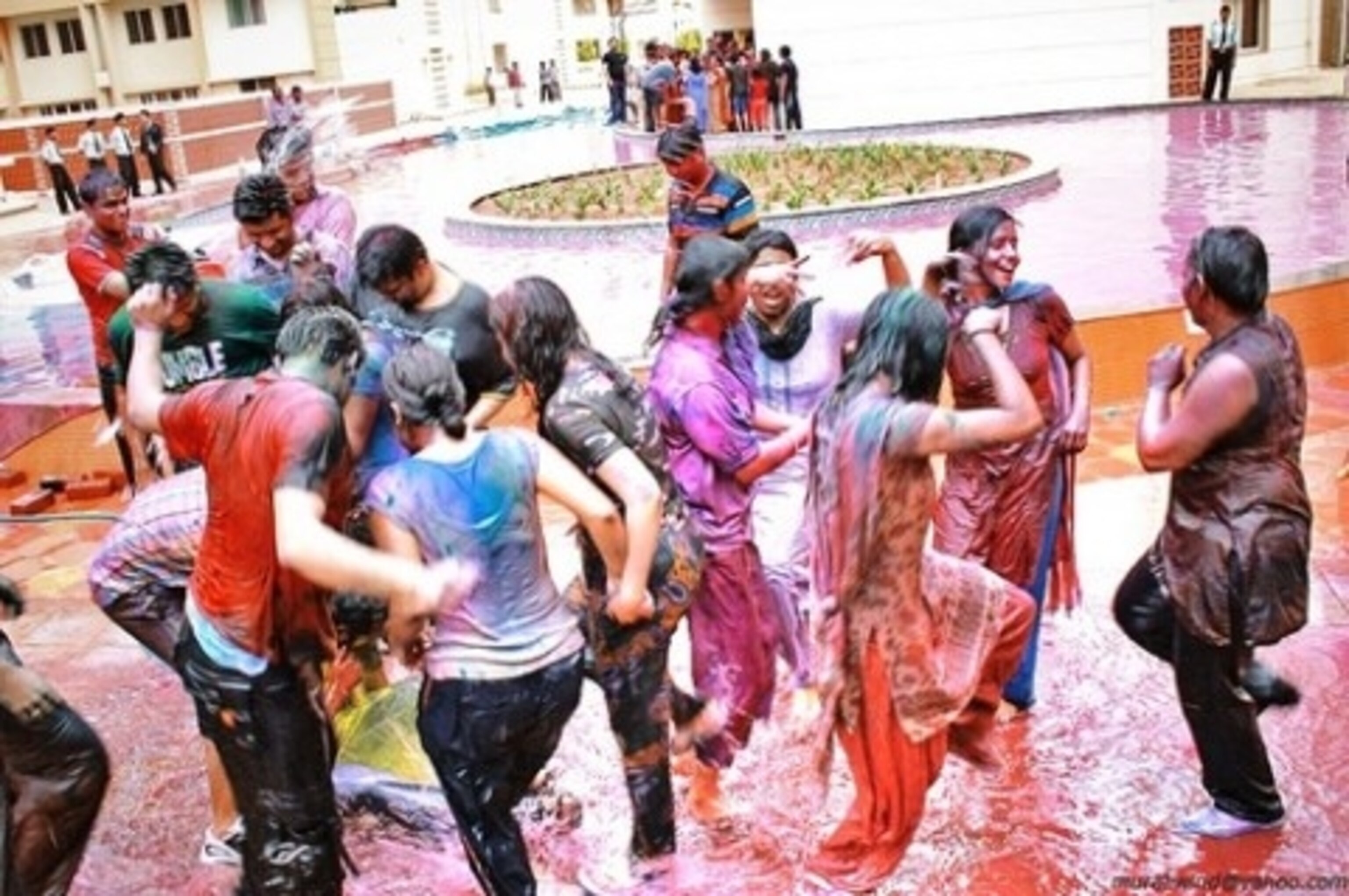 holifestival.jpg