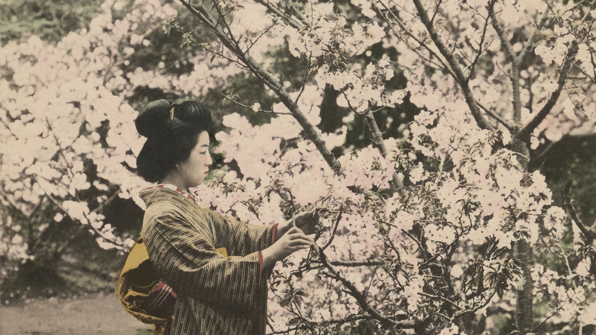 A century ago, Japan's countryside was full of grain and nature deities