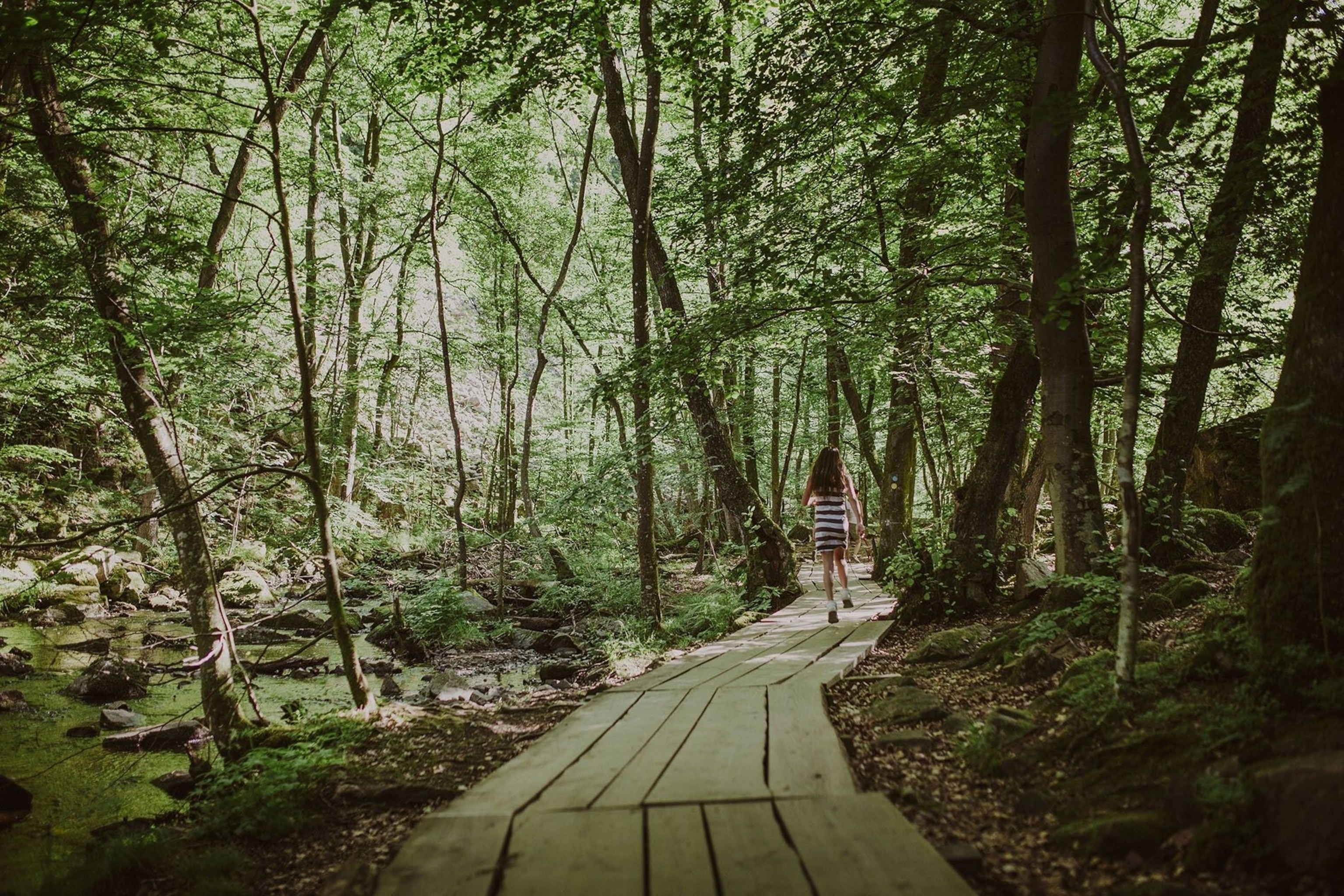 Söderåsen National Park: A hiker's paradise