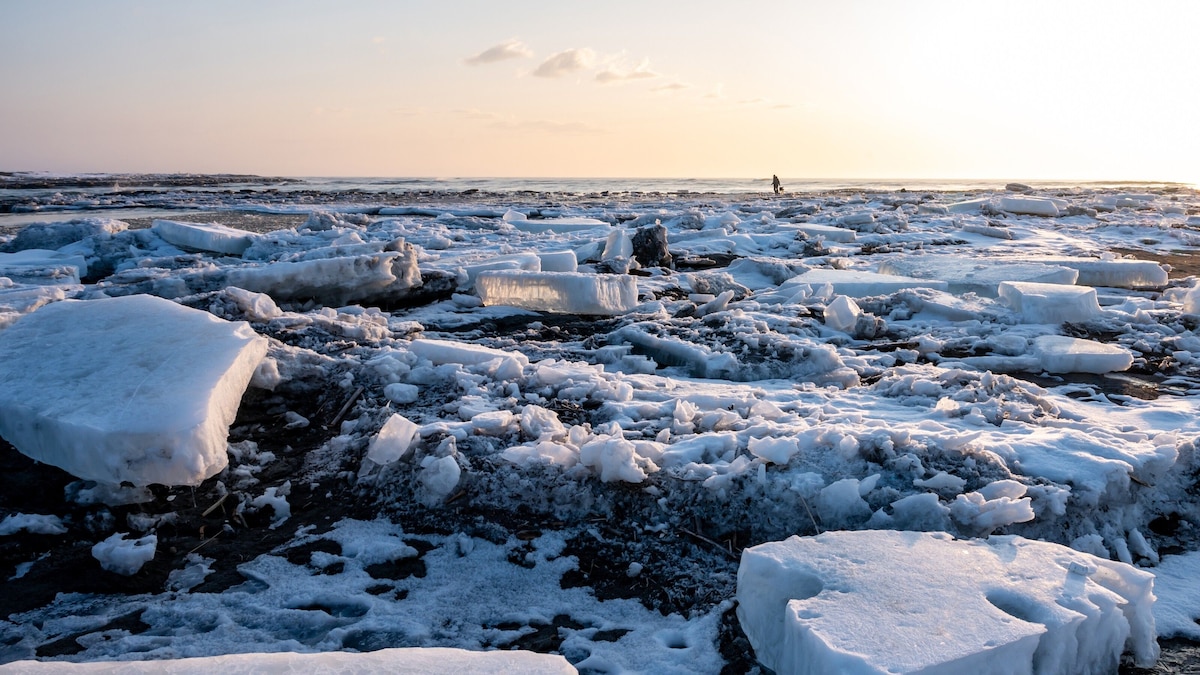 Discover Japan's wild north: five of the best nature experiences in Hokkaido - Vimarsana News