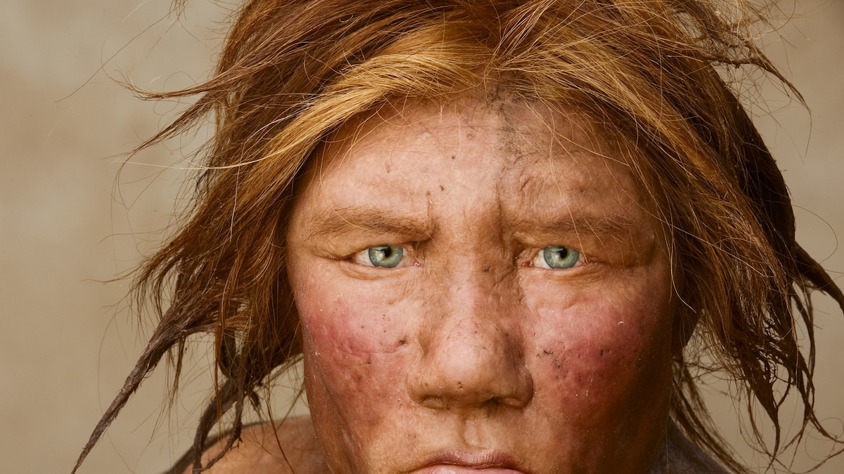 Return of the Neanderthals | National Geographic