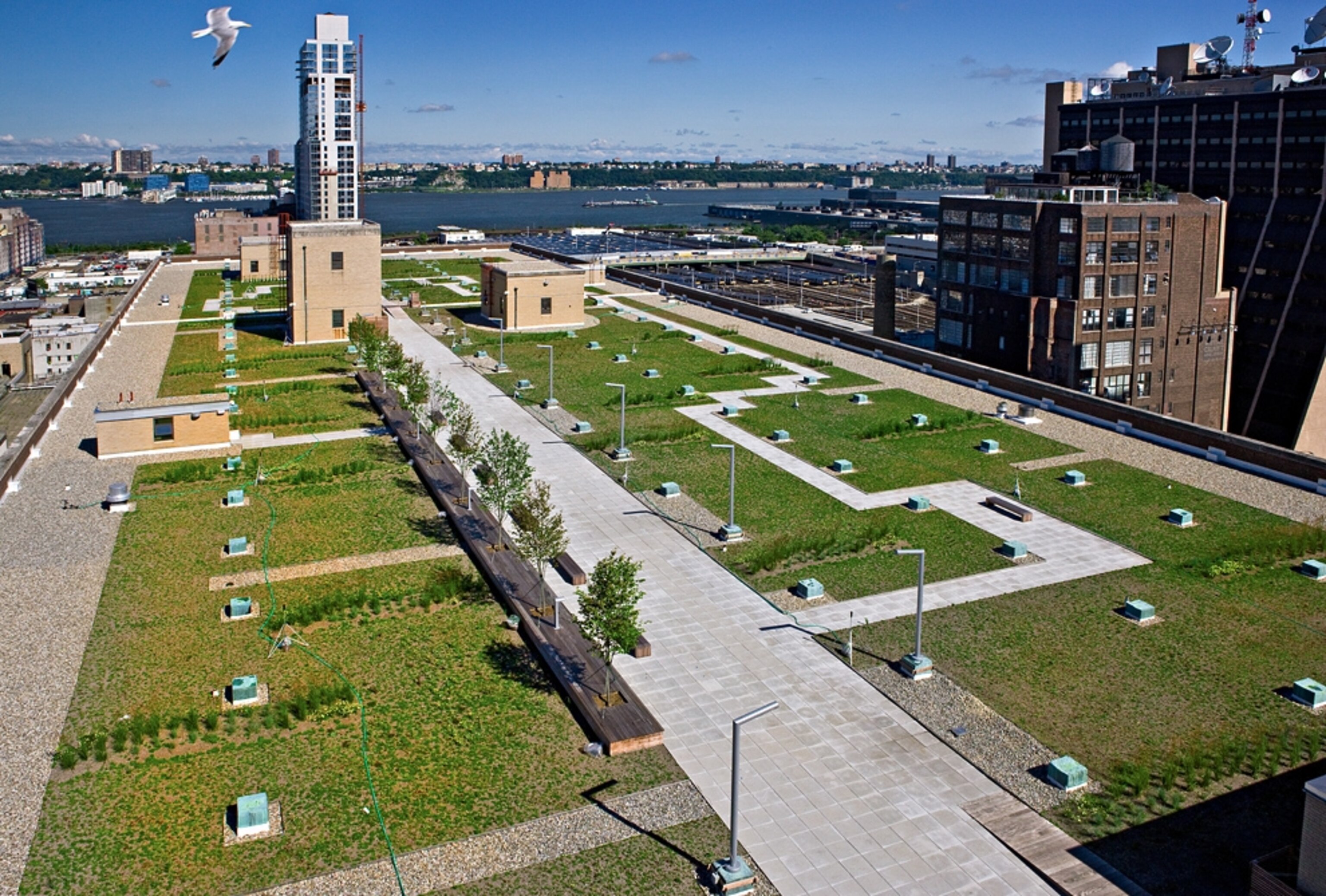 The green rooftop park at the U.S. Postal Service's Morgan mail processing facility in midtown Manhattan