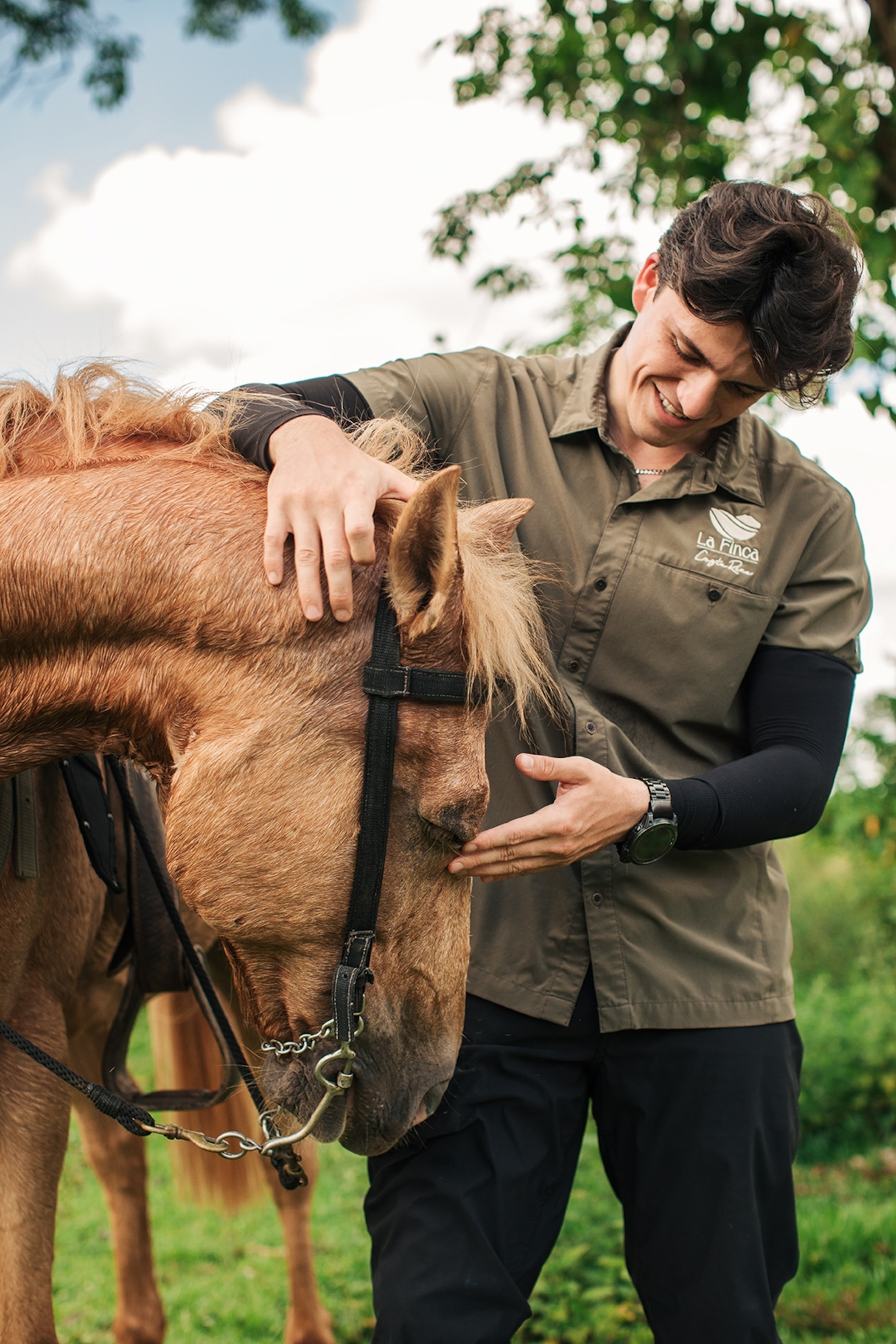 A young man tending to a horse.
