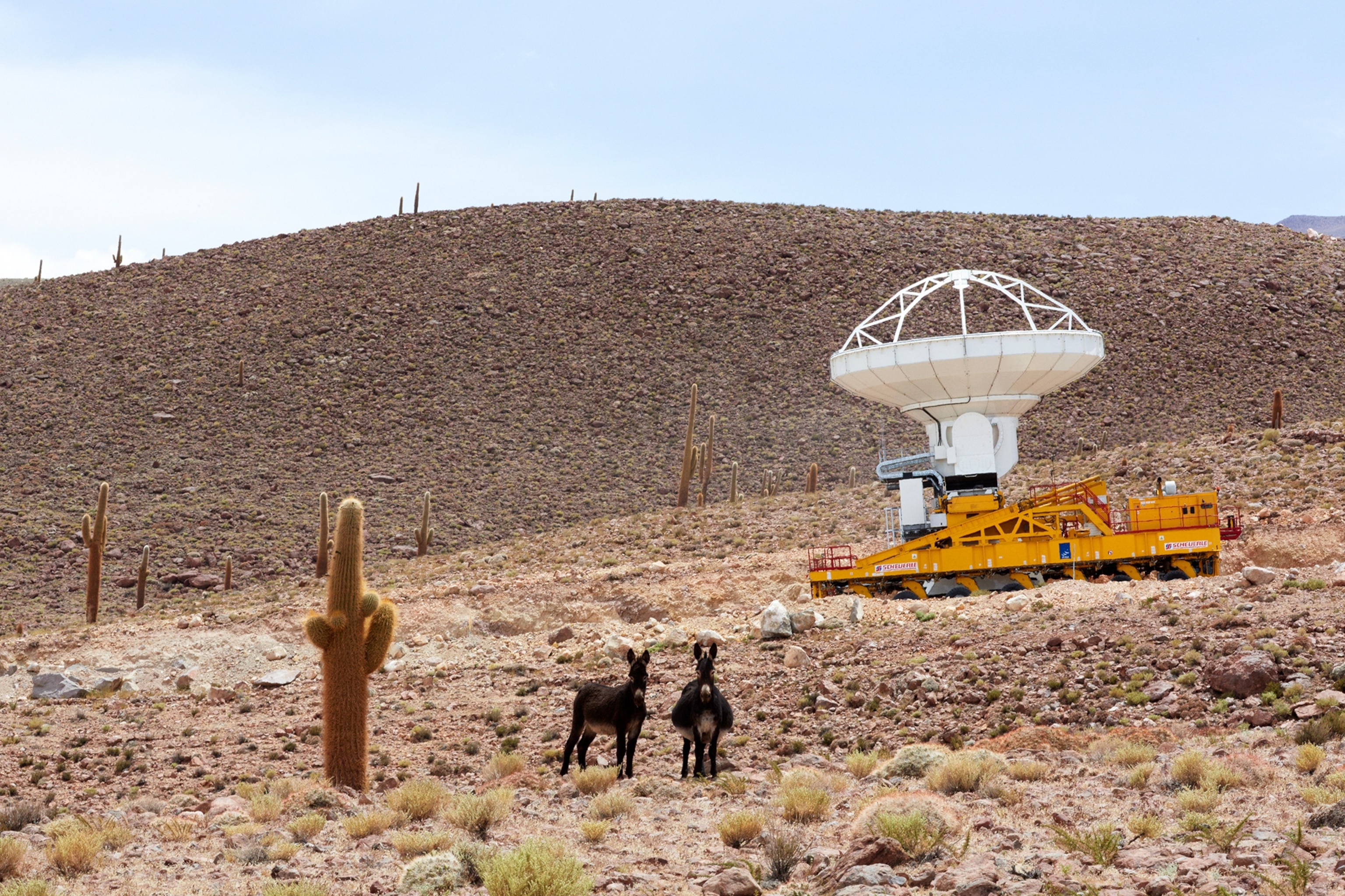 ALMA antenna being moved donkeys