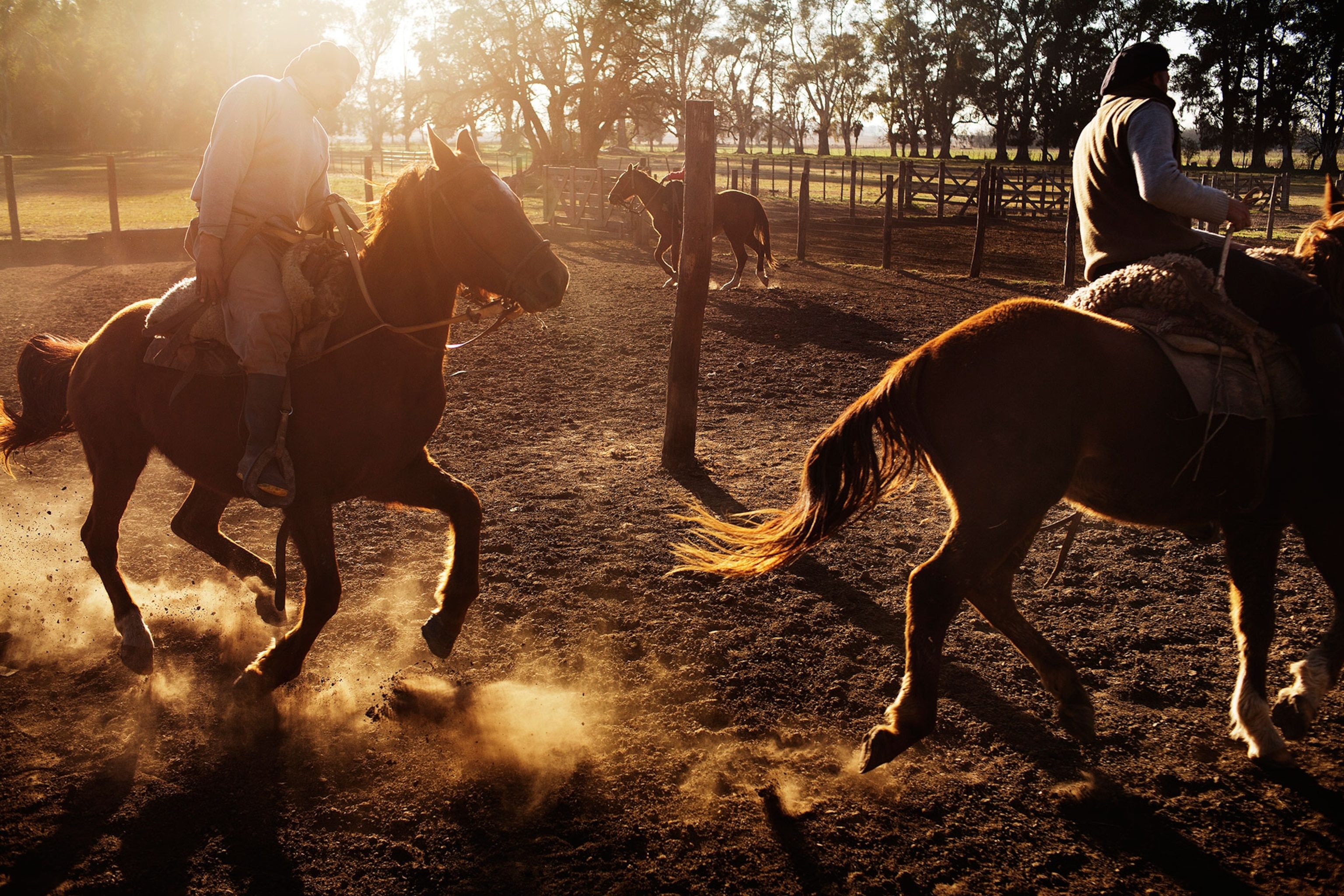Argentinian cowboys