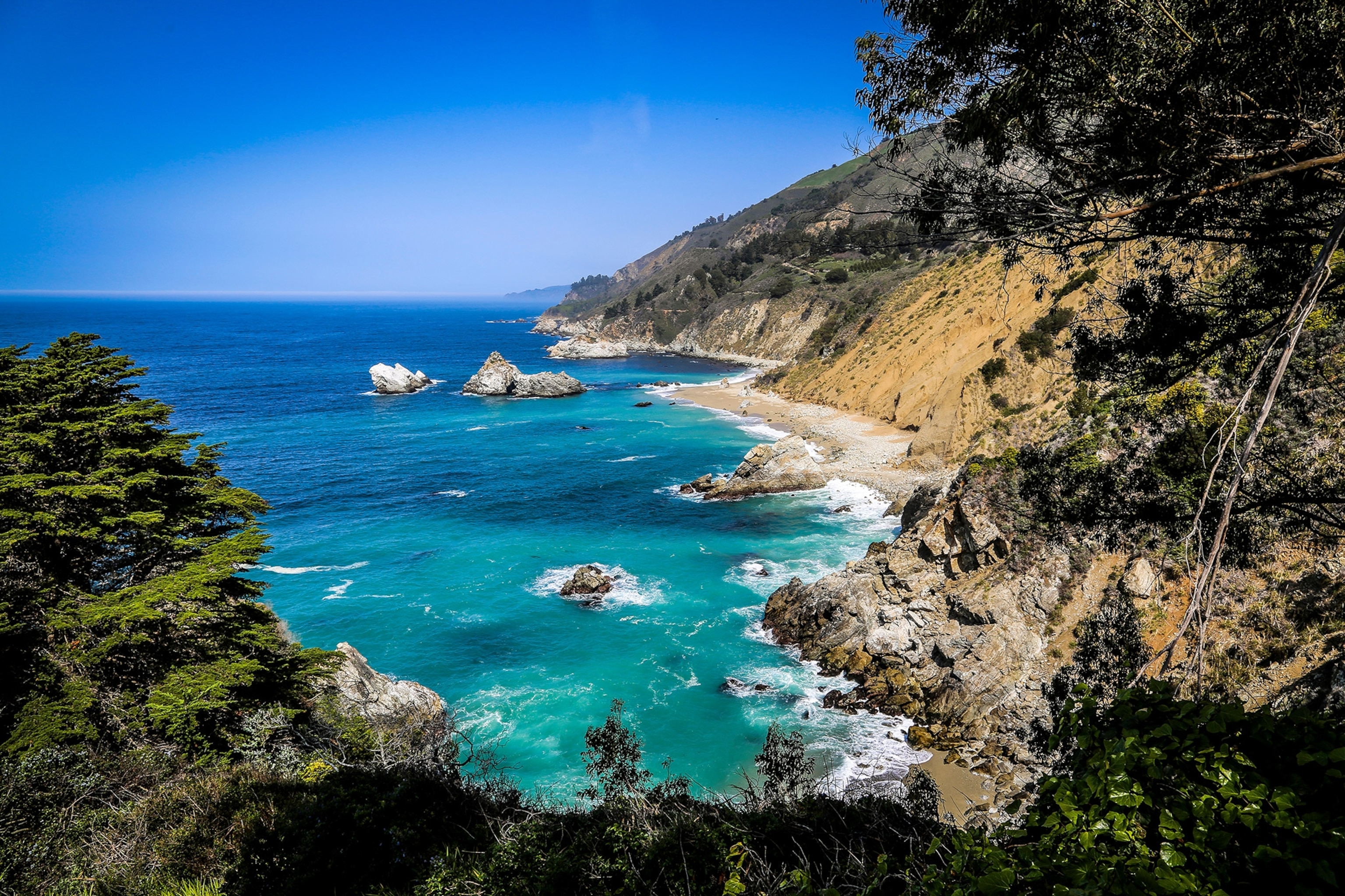 View from high on a cliff, with dark tree branches around perimeter, of a blue-green ocean inlet, waves crashing on shoreline