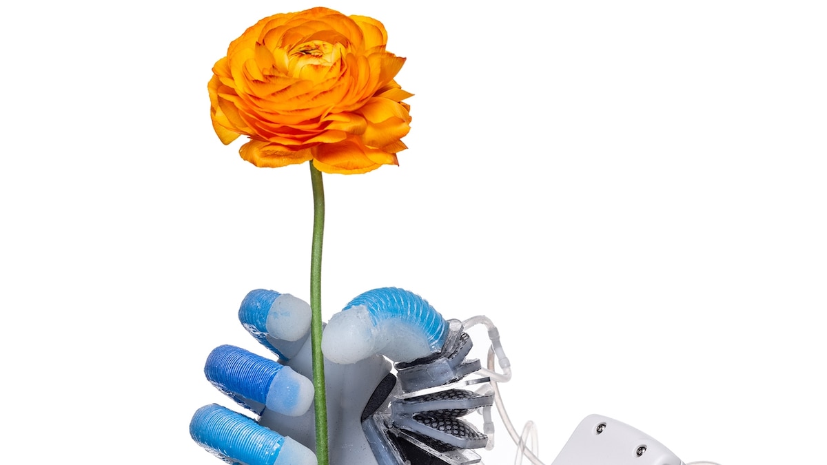 The best science photos of 2020