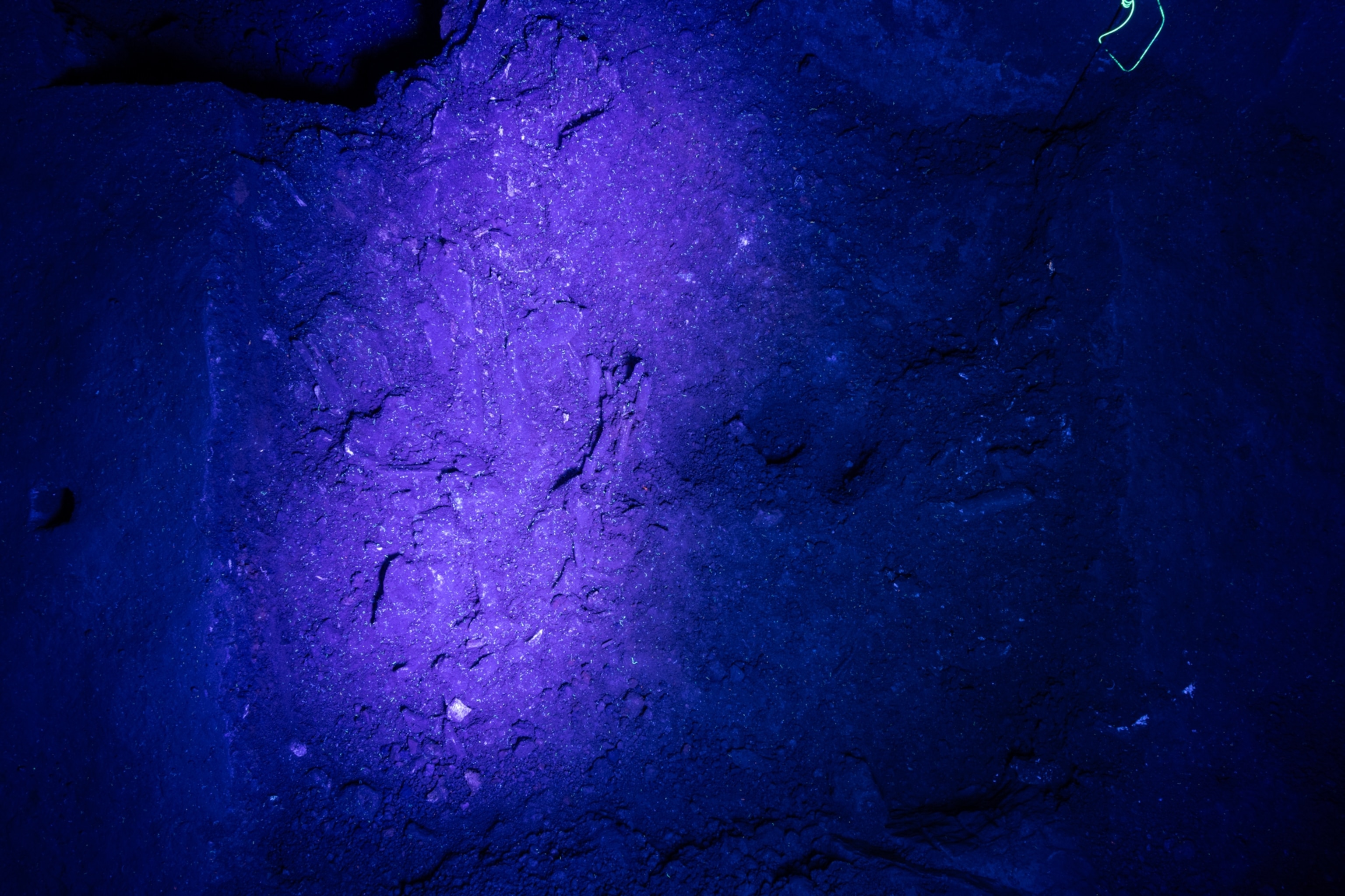 A patch of rocky ground illuminated by a bright purple light highlighting fragments of bone embedded in the ground