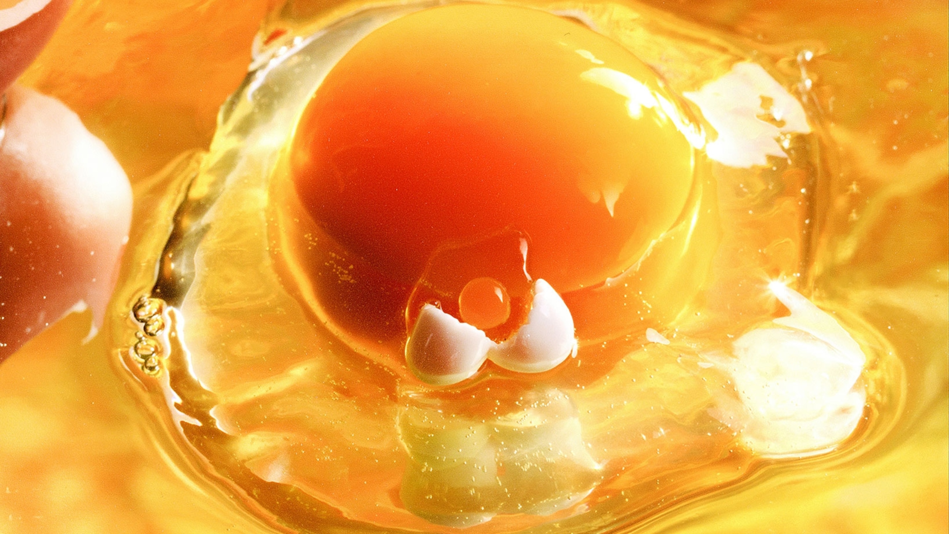 What you've been told about eggs and cholesterol is wrong, doctors now say
