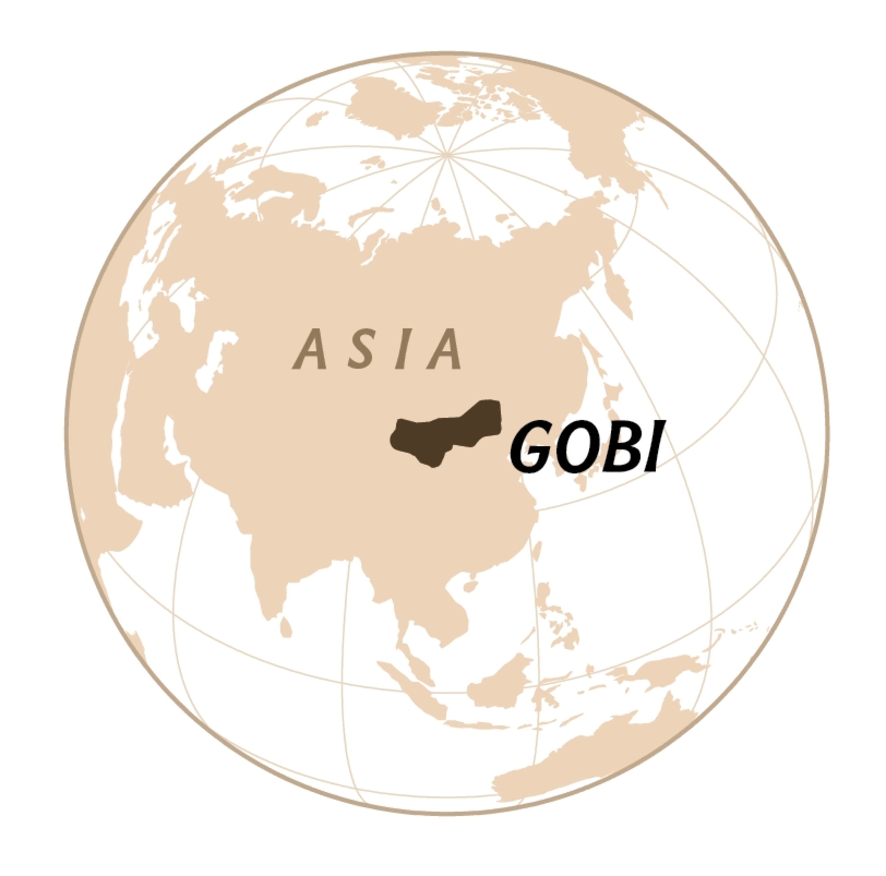 Globe showing the Gobi dessert in Asia