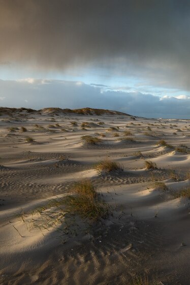 The sea of sand with waves and grass instead of sea-foam.