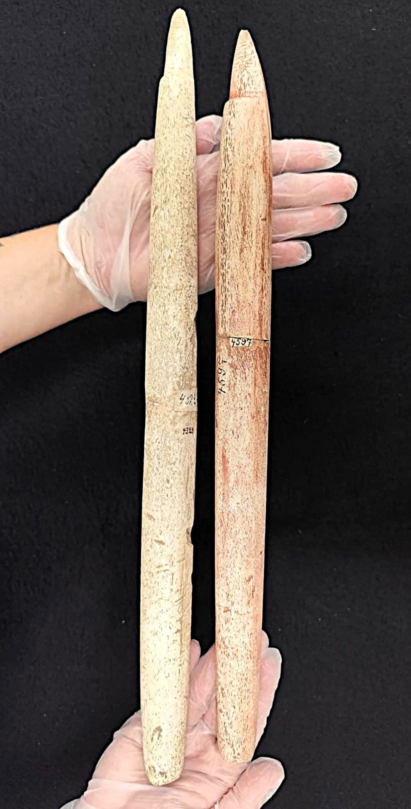 A hand shows two harpoons photographed on a black background.