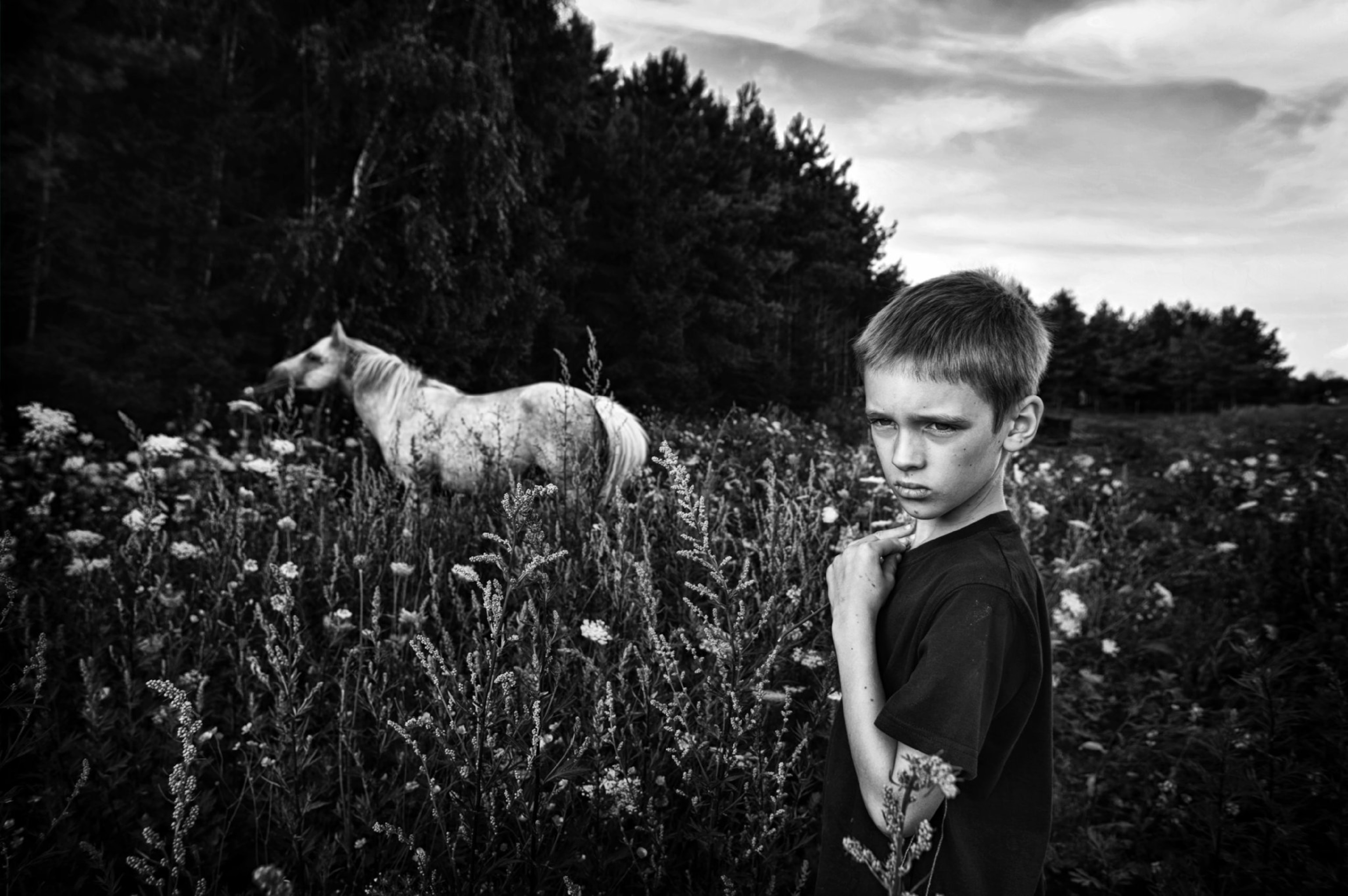 boy in meadow with horse
