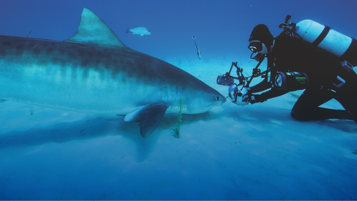 Exploration Happens Because of You | National Geographic