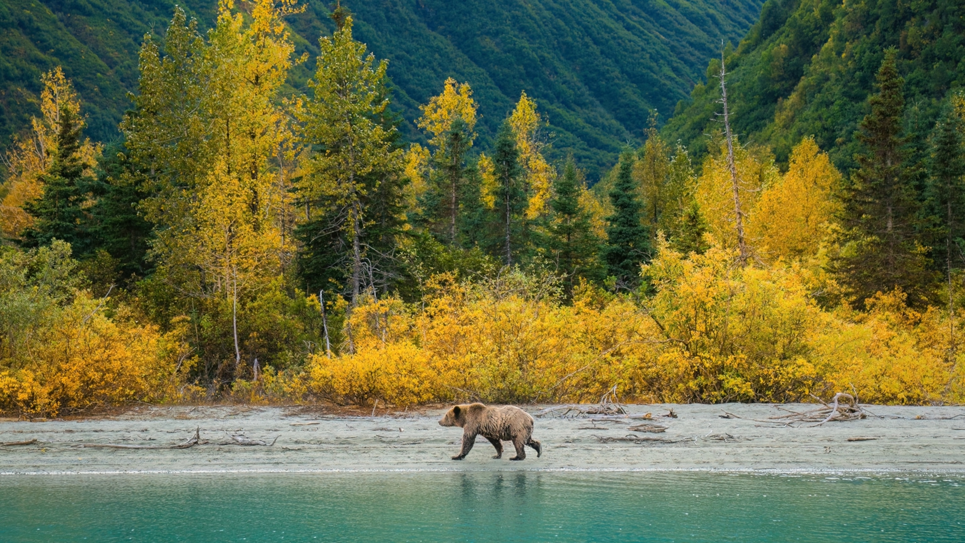 How to visit Lake Clark National Park and Preserve