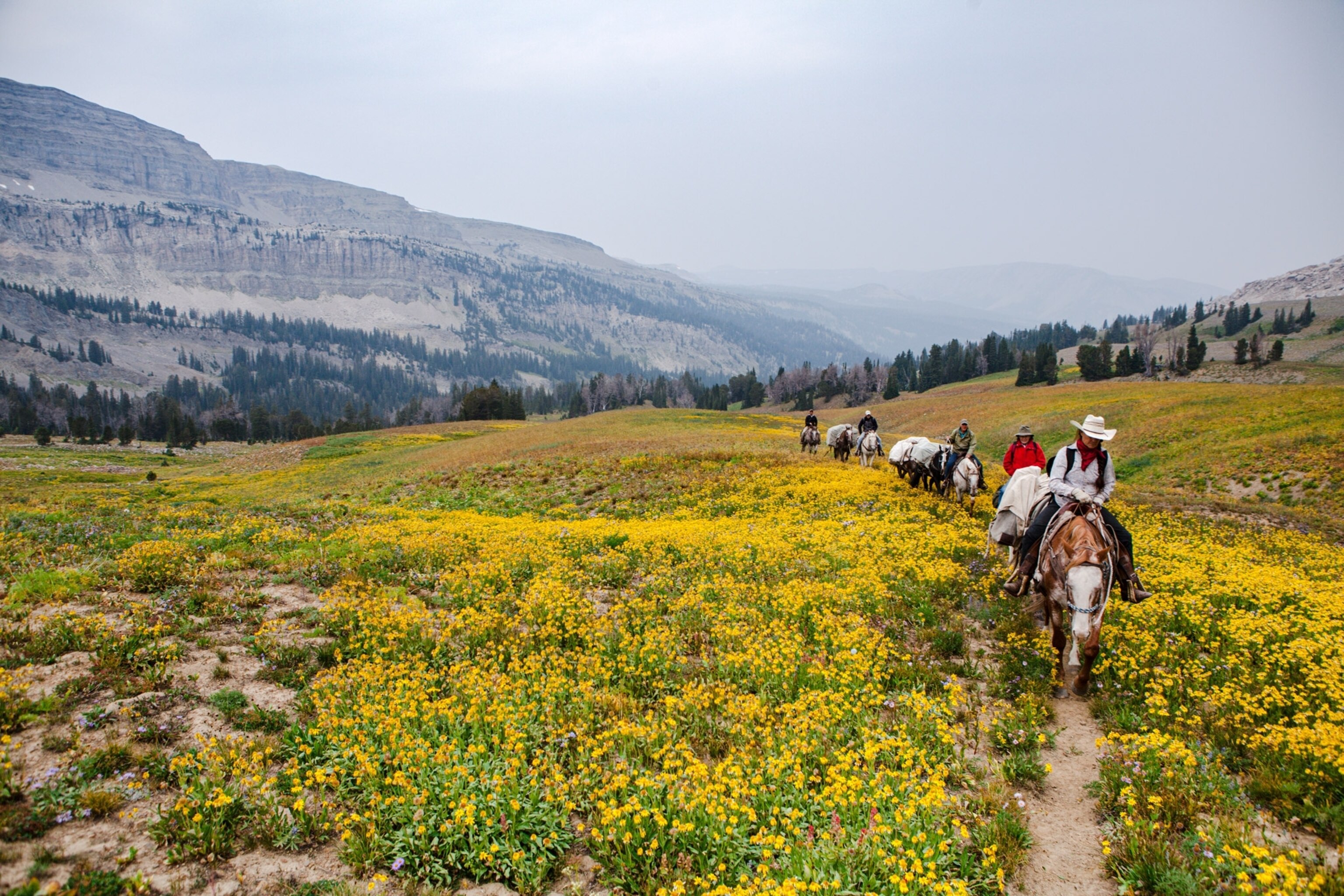 a horse pack trip into the colorado rockies