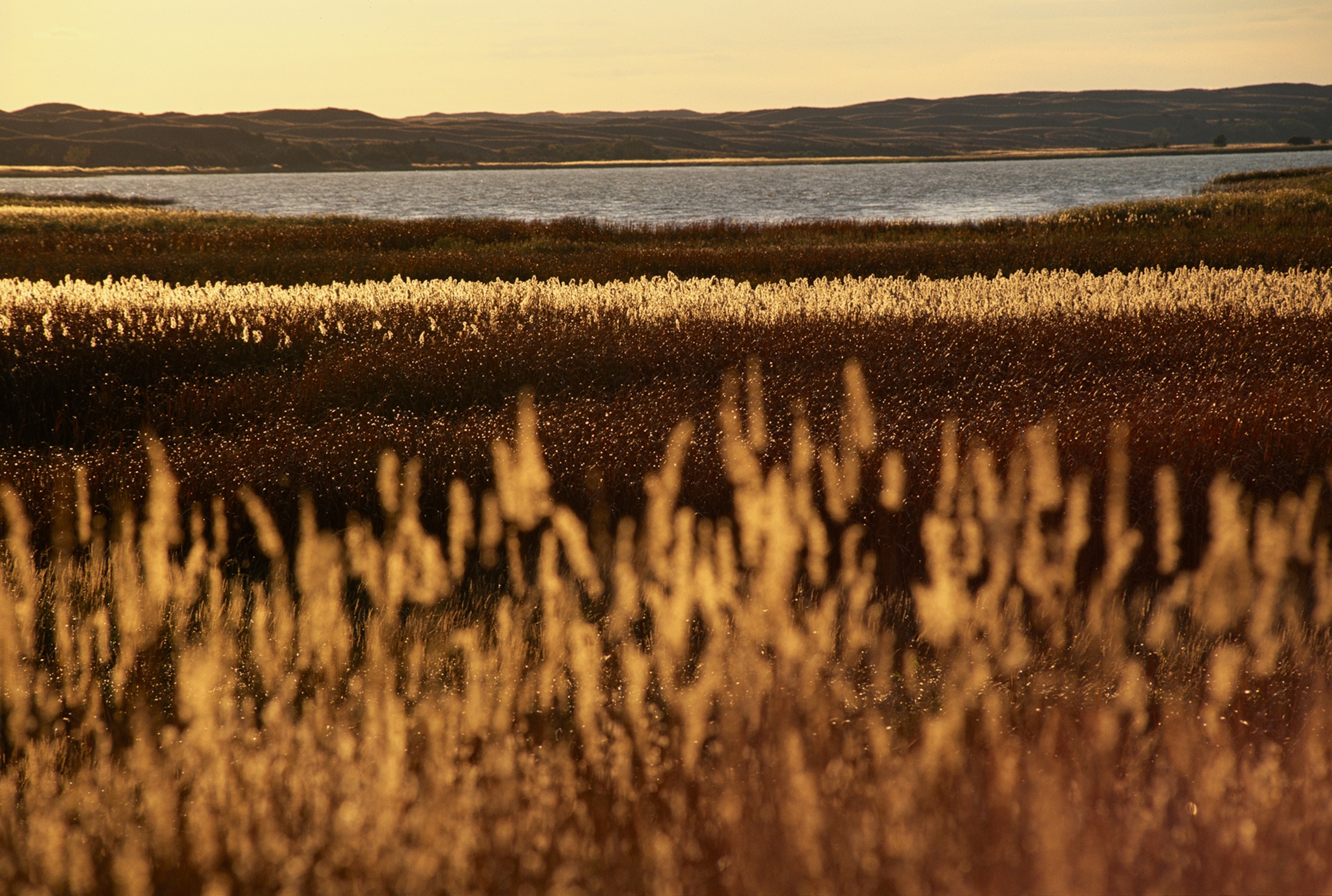 fields and a lake in the distance