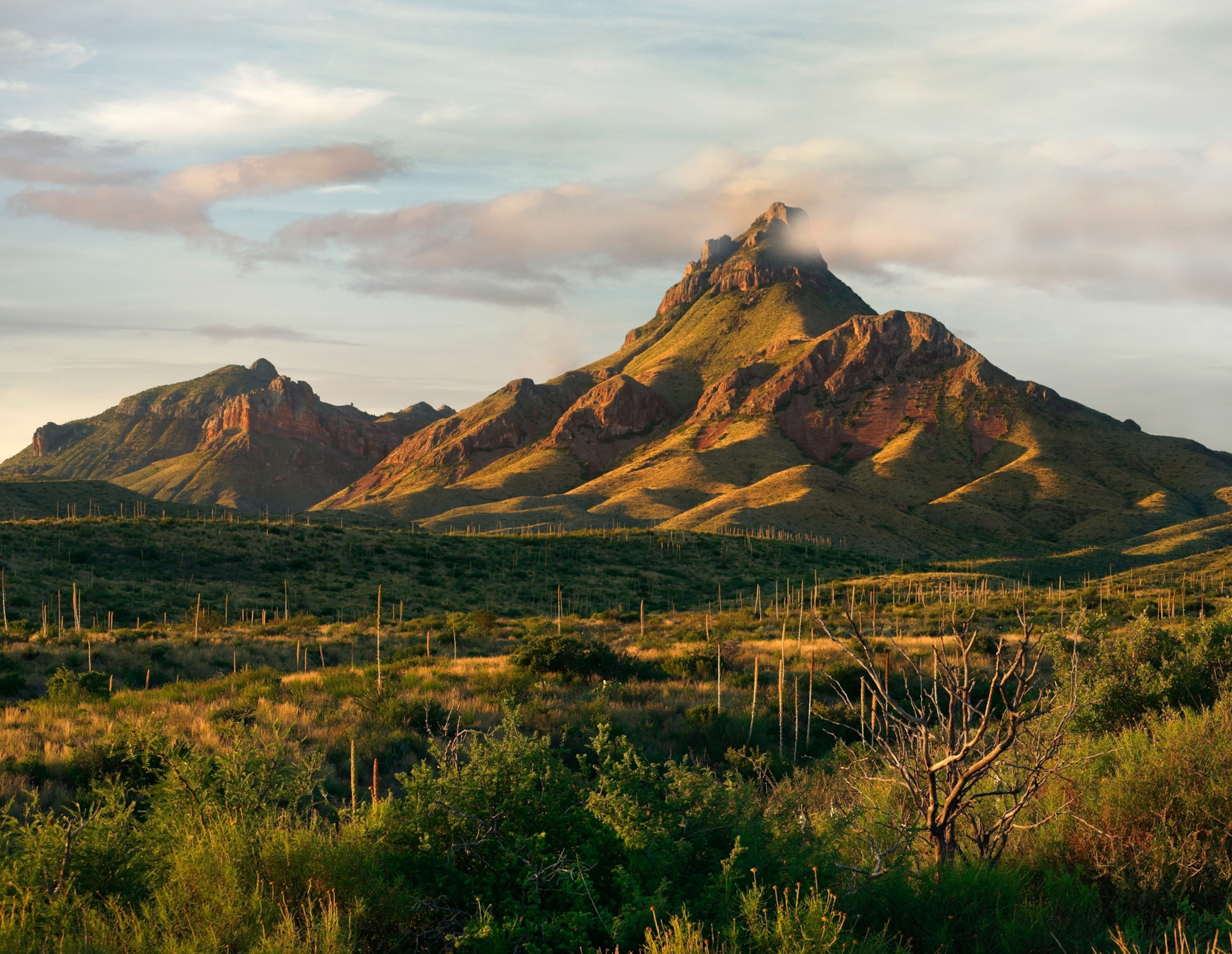 Chisos Mountains, Big Bend National Park, Texas