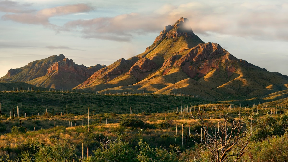 Everything to know about Big Bend National Park