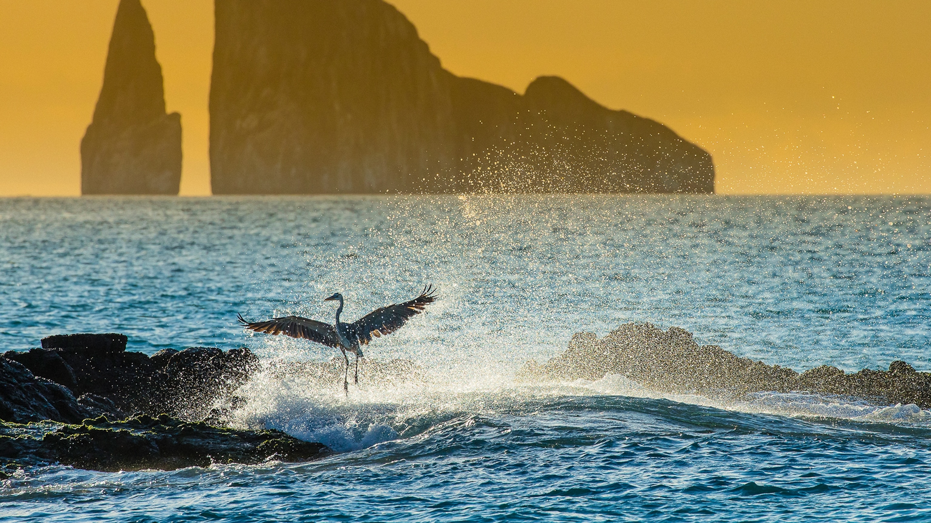 Meet the Galapagueños who are trying to save paradise | National