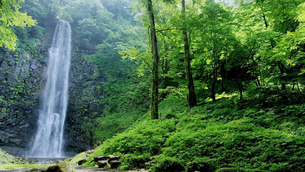 Unveiling Tohoku, Japan's deep north - Vimarsana News