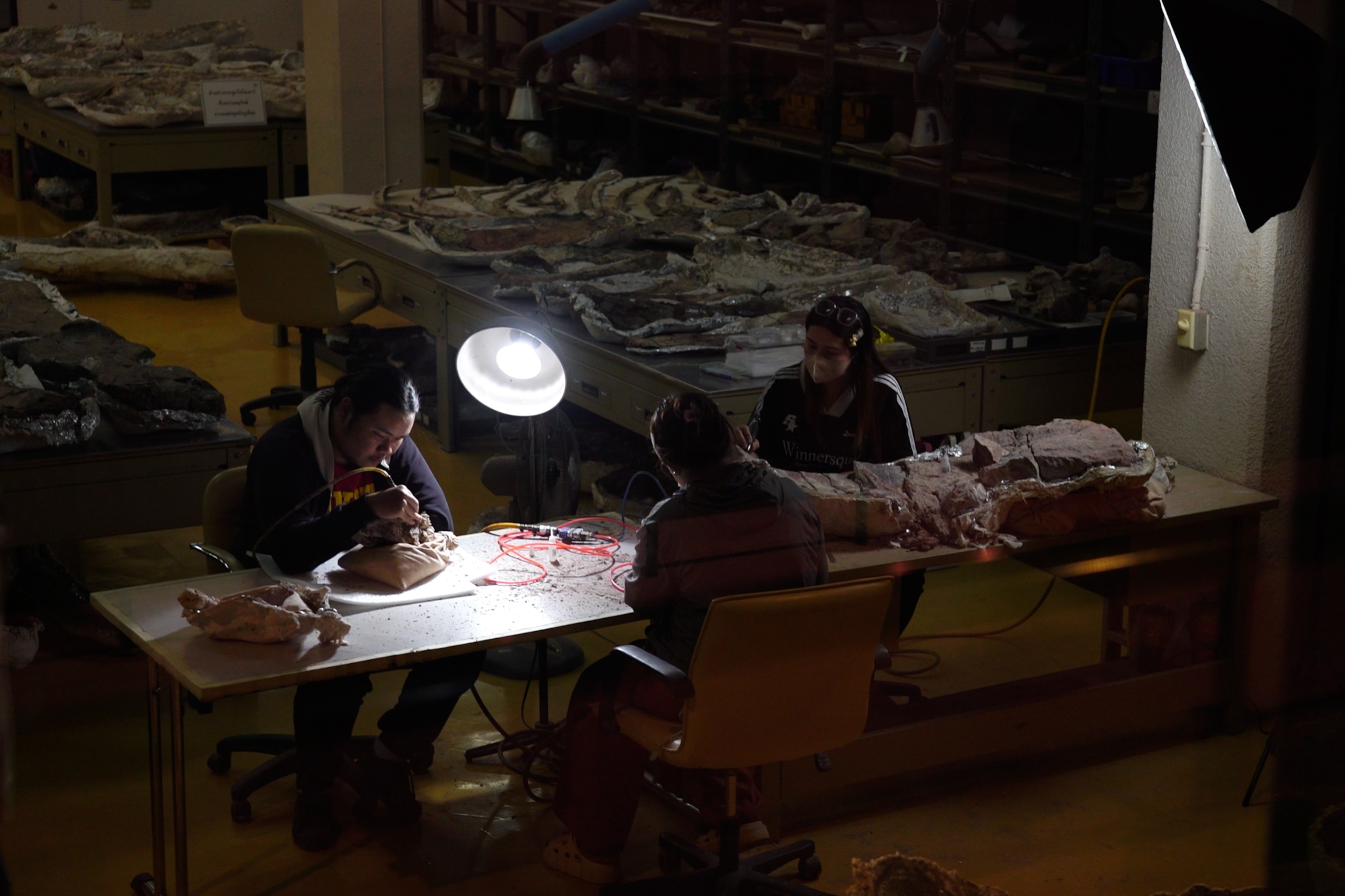Three people seated at a table in a dimly lit room, carefully examining fossils under bright lamps. The workspace is surrounded by fossil specimens.