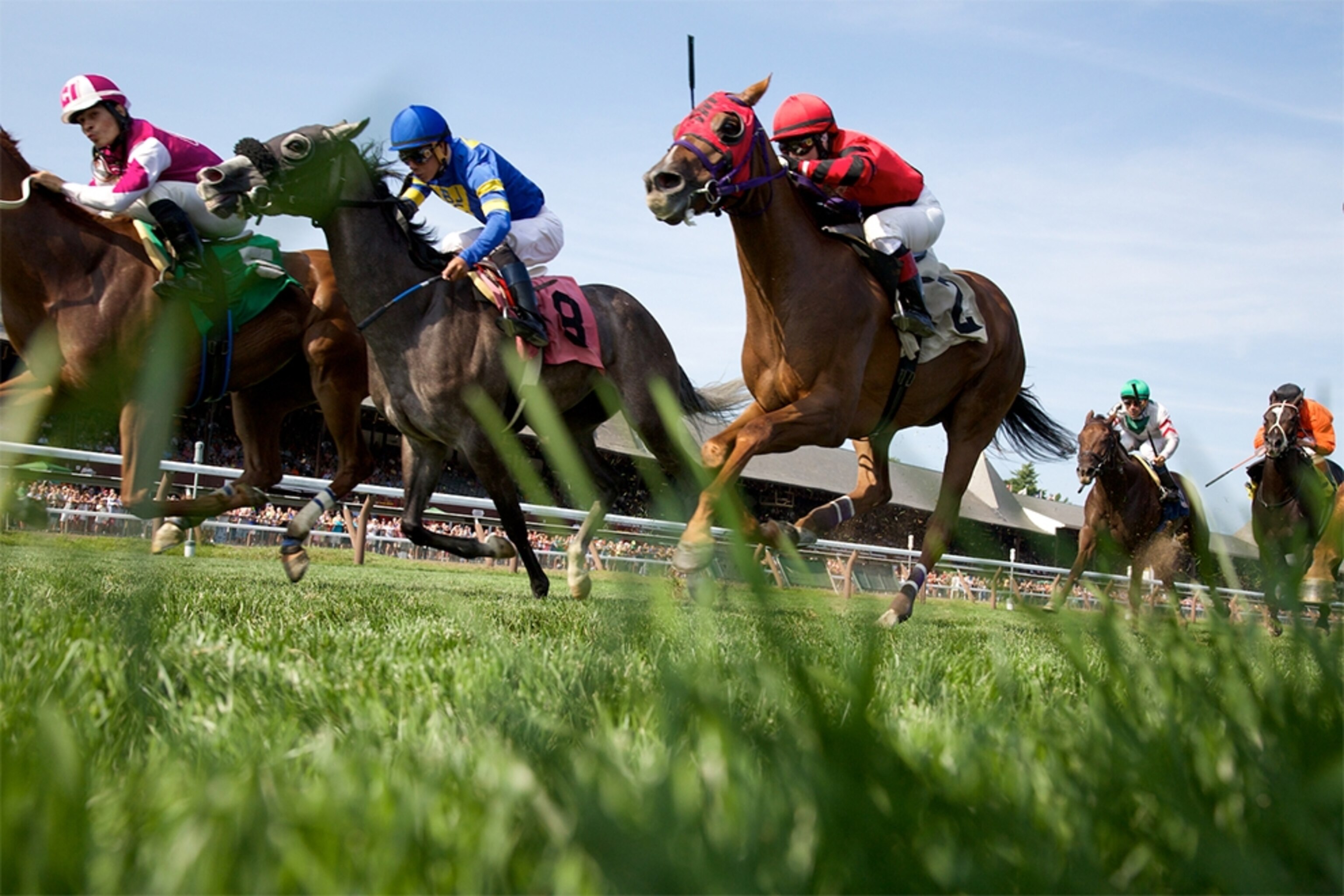 horses racing in Saratoga, New York