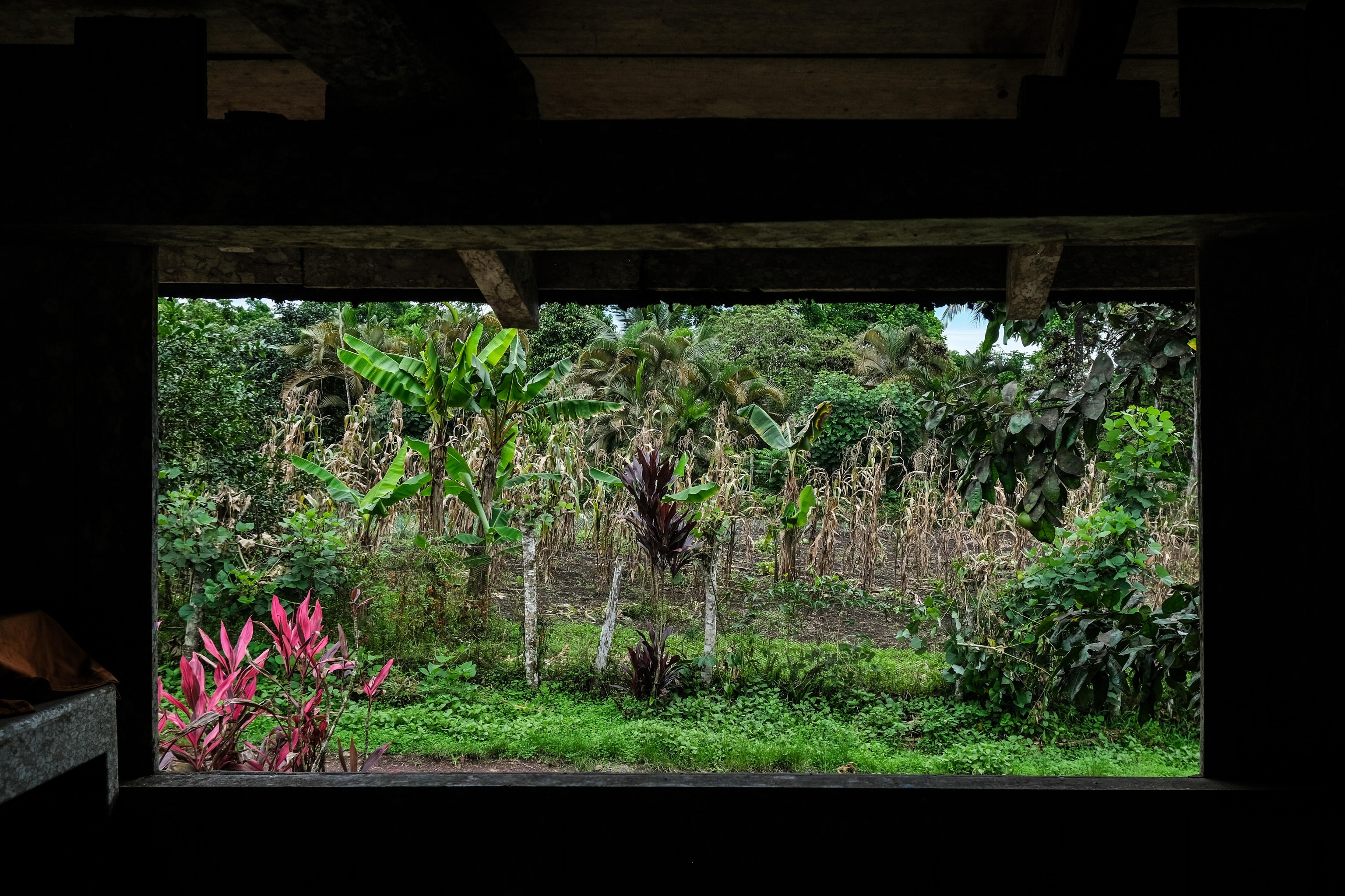 The National Geographic Society, in partnership with Lindblad Expeditions, organized a series of National Geographic Photo Camps in the Galápagos. These camps aim to provide young people across the islands with an engaging introduction to photography and storytelling, empowering them to explore and reflect on what it means to be "Galapagueño." View of a typical Ecuadorian landscape through a window. Photographer: Adrián Naranjo. Santa Cruz, Galápagos, Ecuador, March 2025.