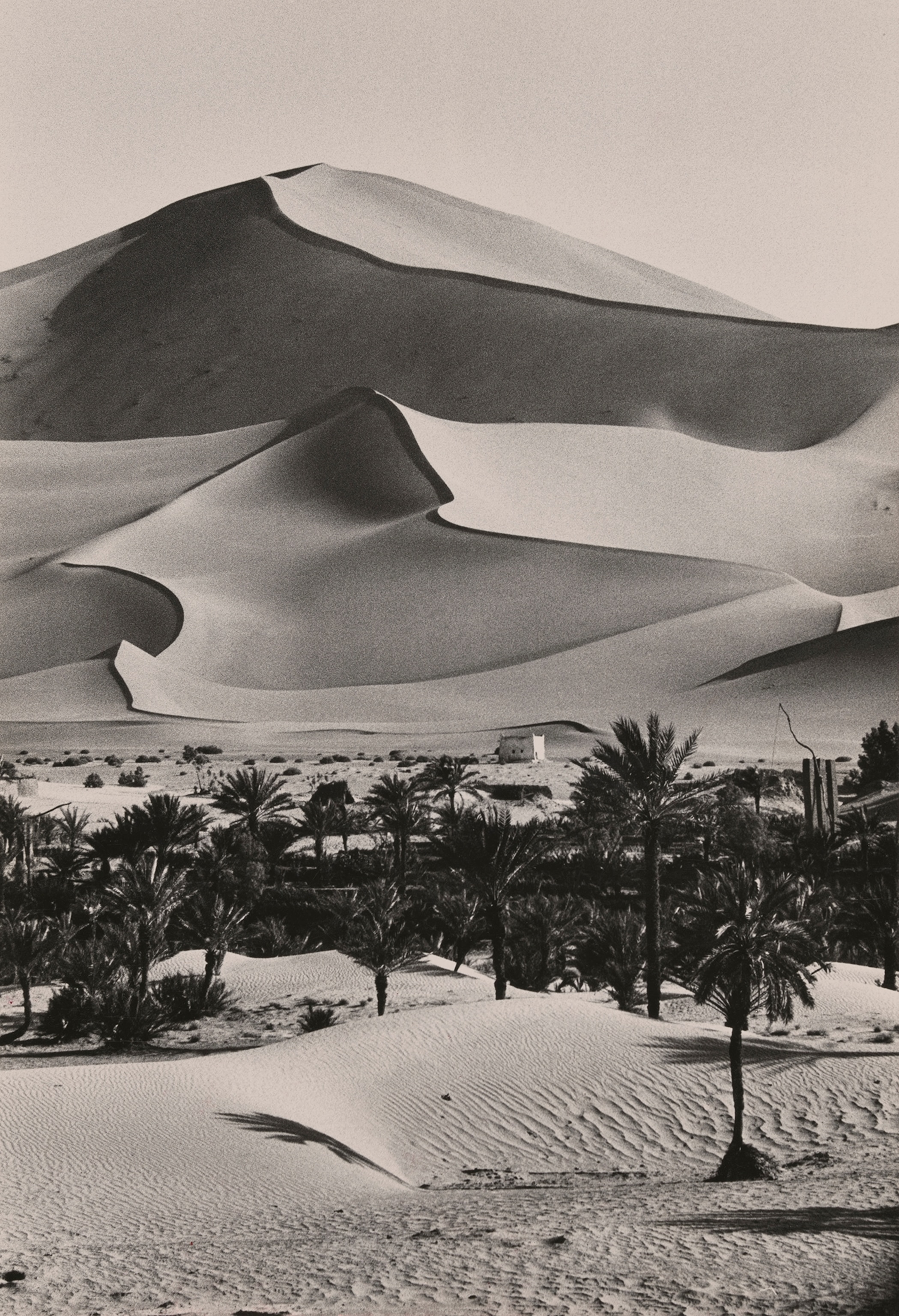 A view of the sand dunes that cover a sixth of the Sahara.