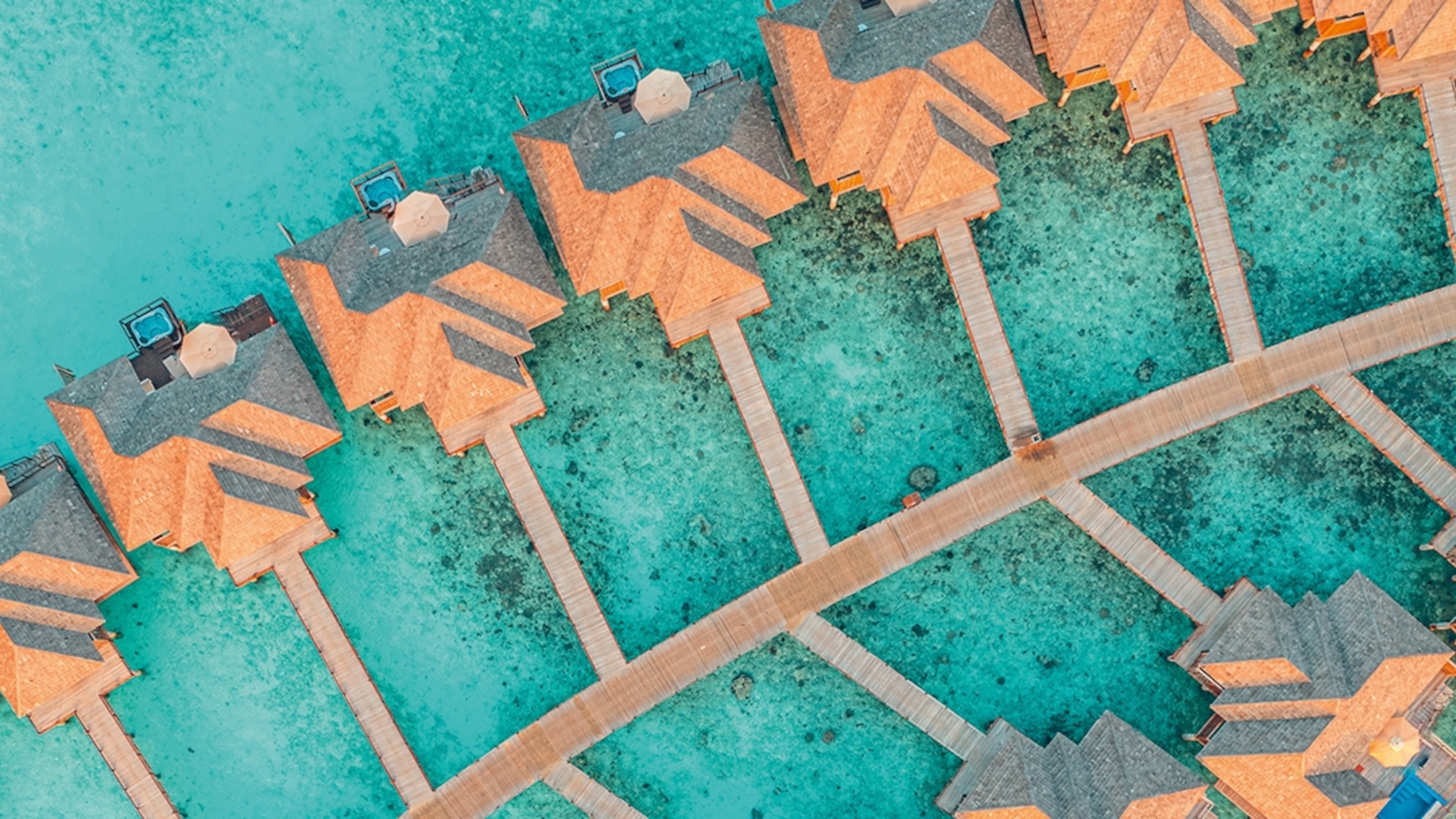 Can AI save the Maldives’ coral reefs?