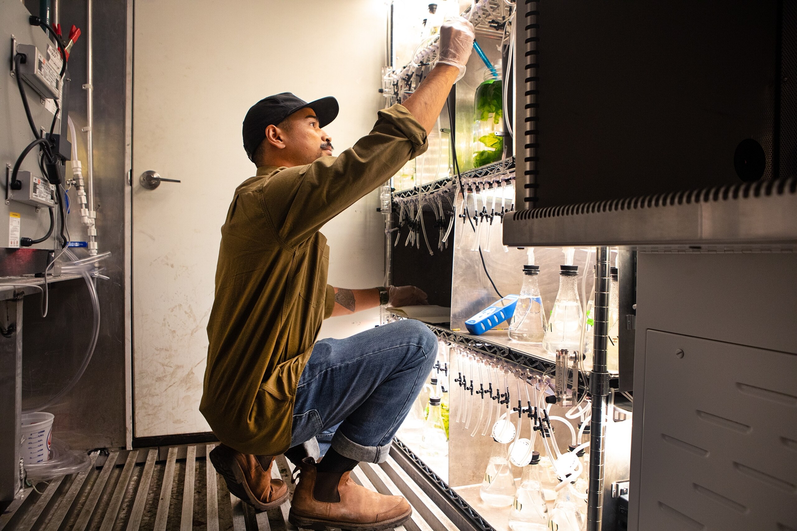 a man kneels to check algae in small beakers in a lab