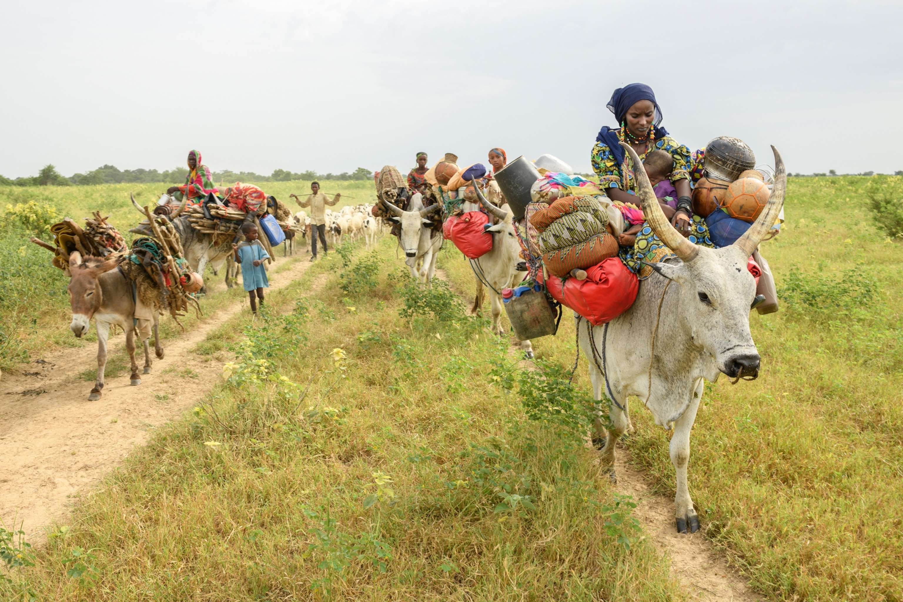 A family riding through the outdoors on livestock with an abundance of bags and supplies.