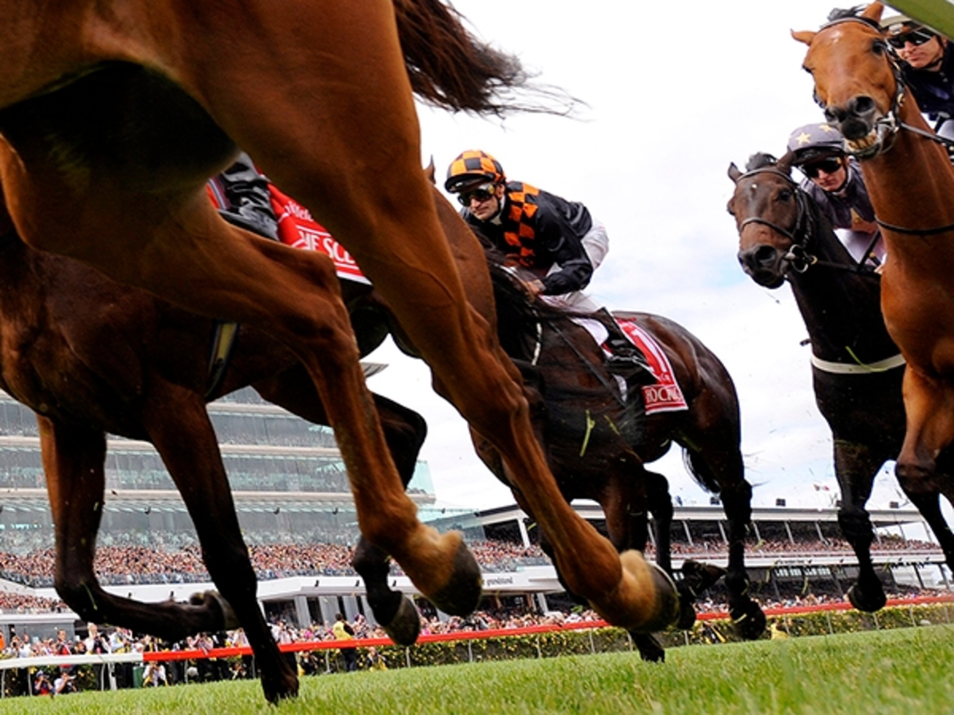 Jockeys in Melbourne