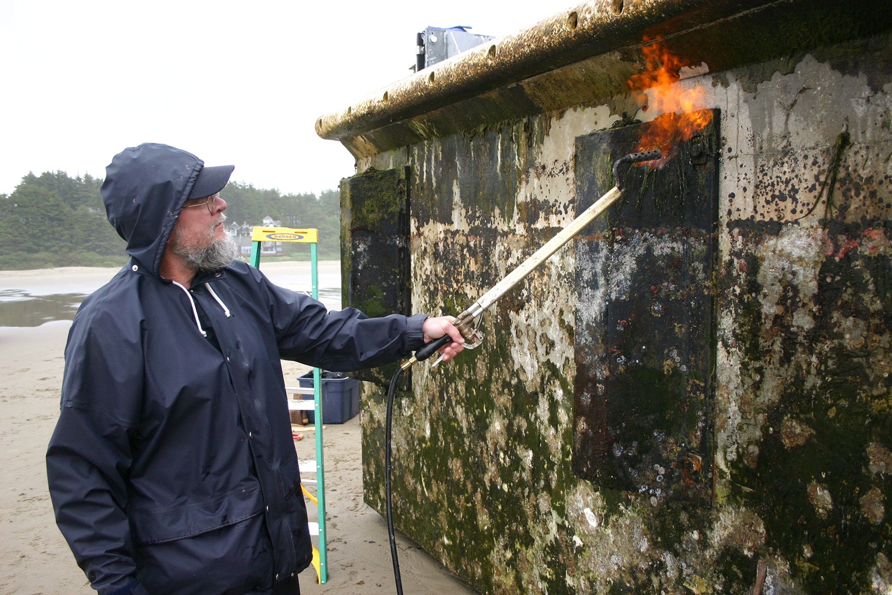 Japanese tsunami dock picture: structure on Oregon beach