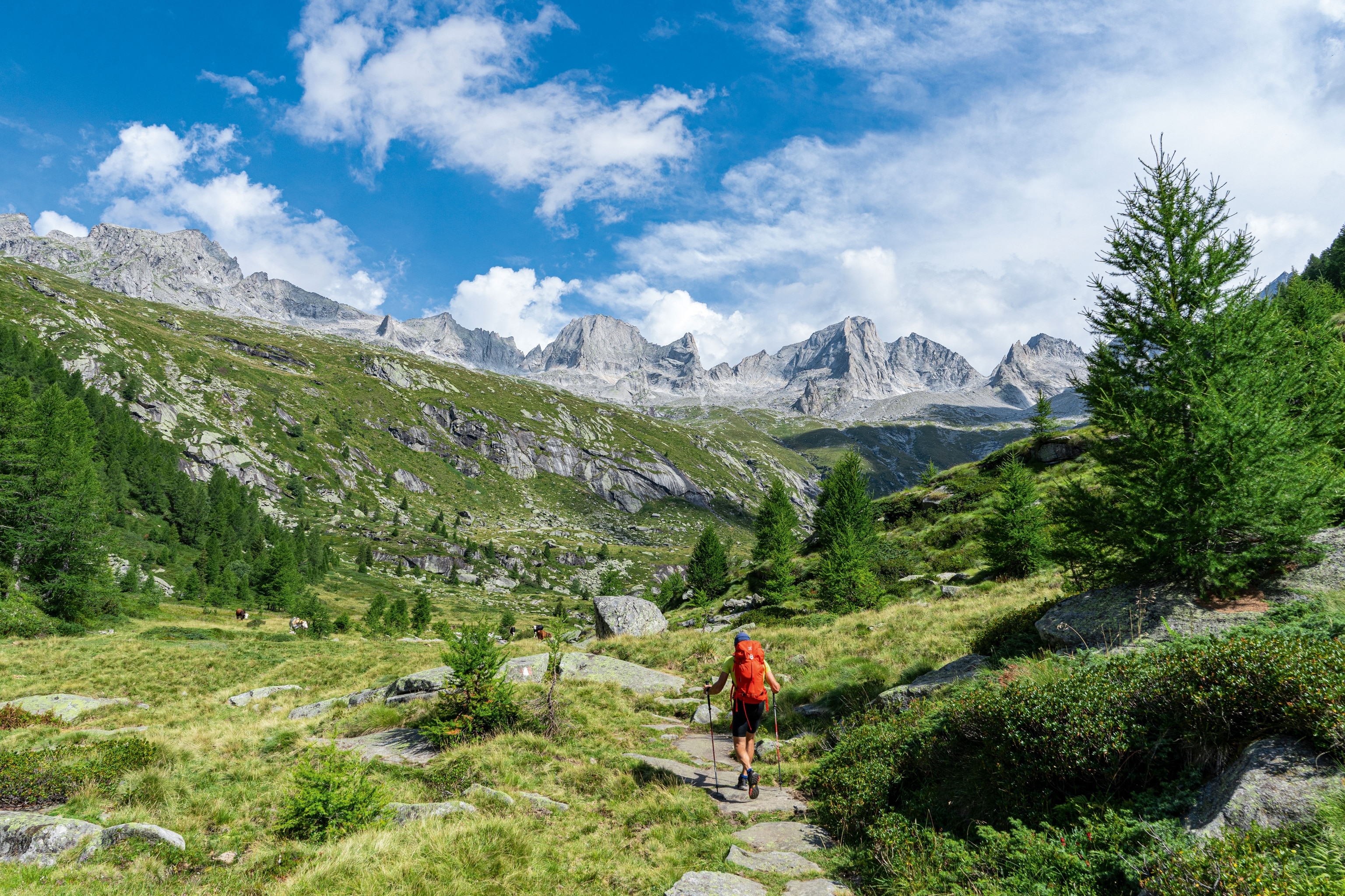 Hiker walking on an alpine path towards Pizzi del Ferro, Val Masino, Valtellina, Lombardy, Italy
