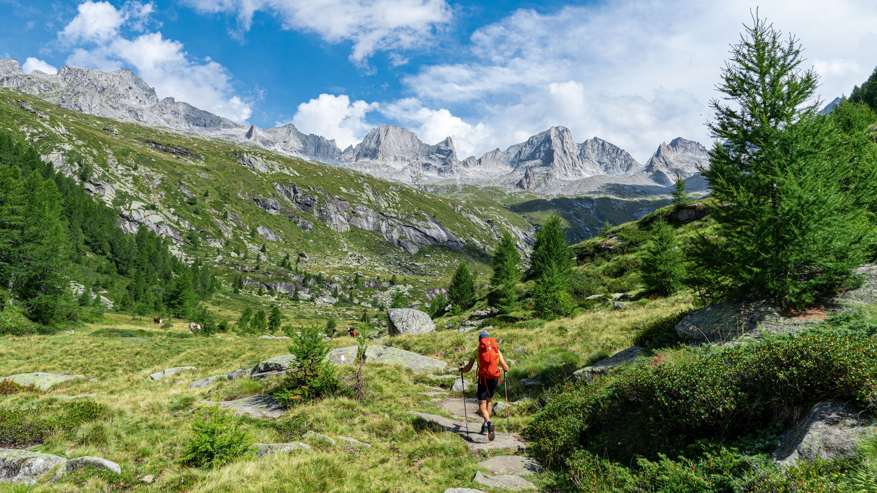 How longevity tourism is reshaping the way we travel