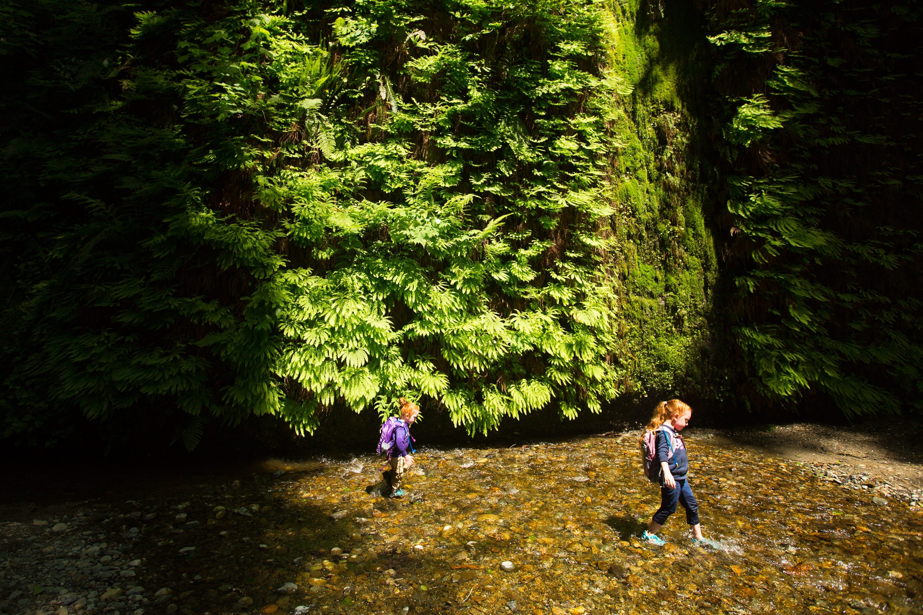 kids in Fern Canyon in Prairie Creek Redwoods State Park, California