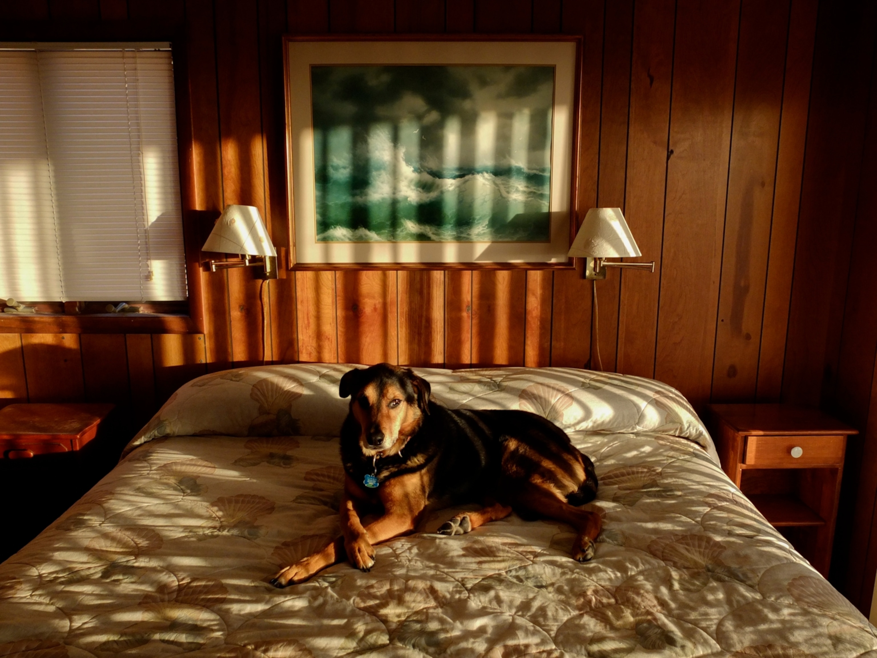 The Fenwick Years, 2008-2014, Matt Propert