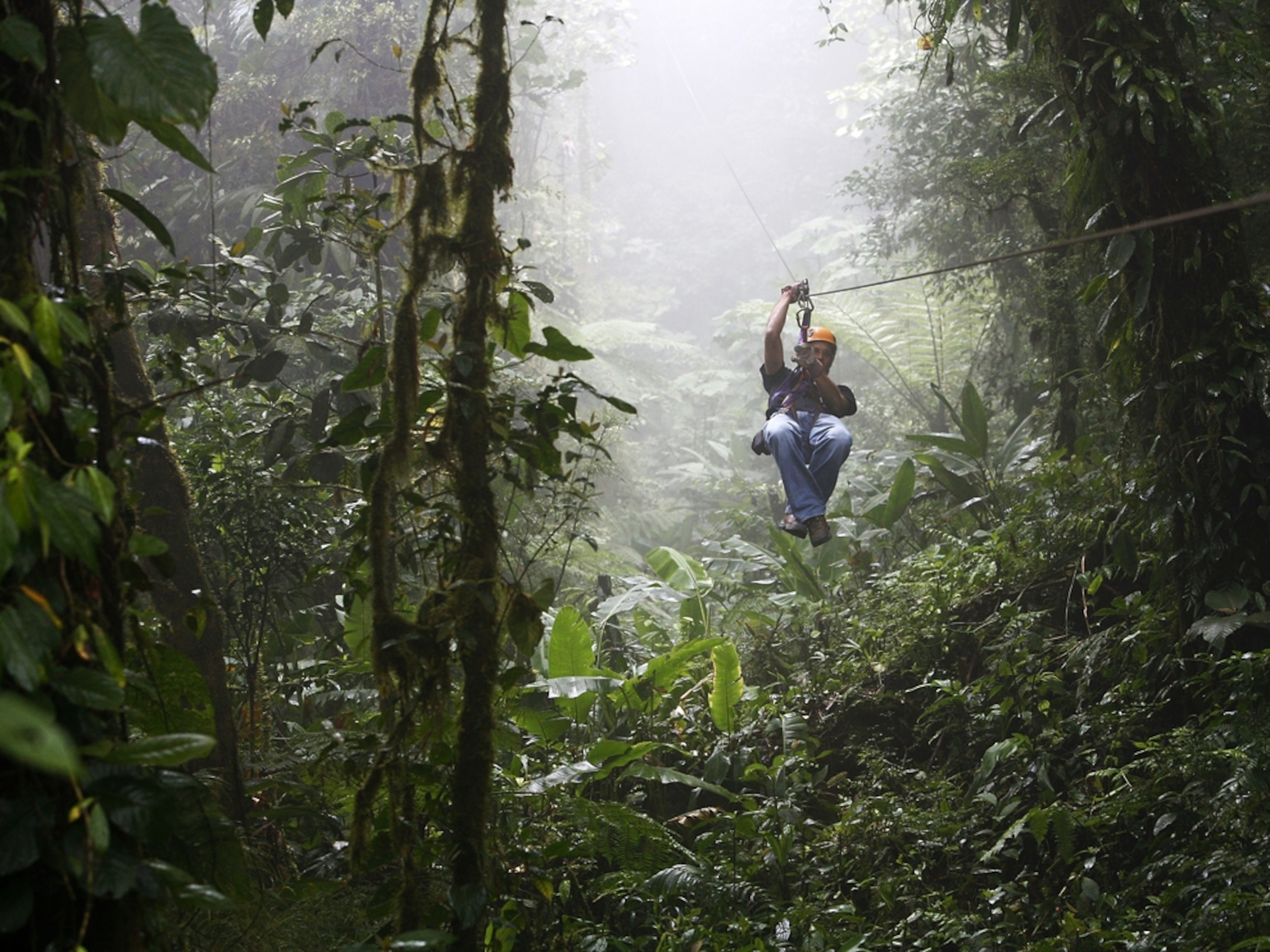 a man zip lining through the forest in Costa Rica.