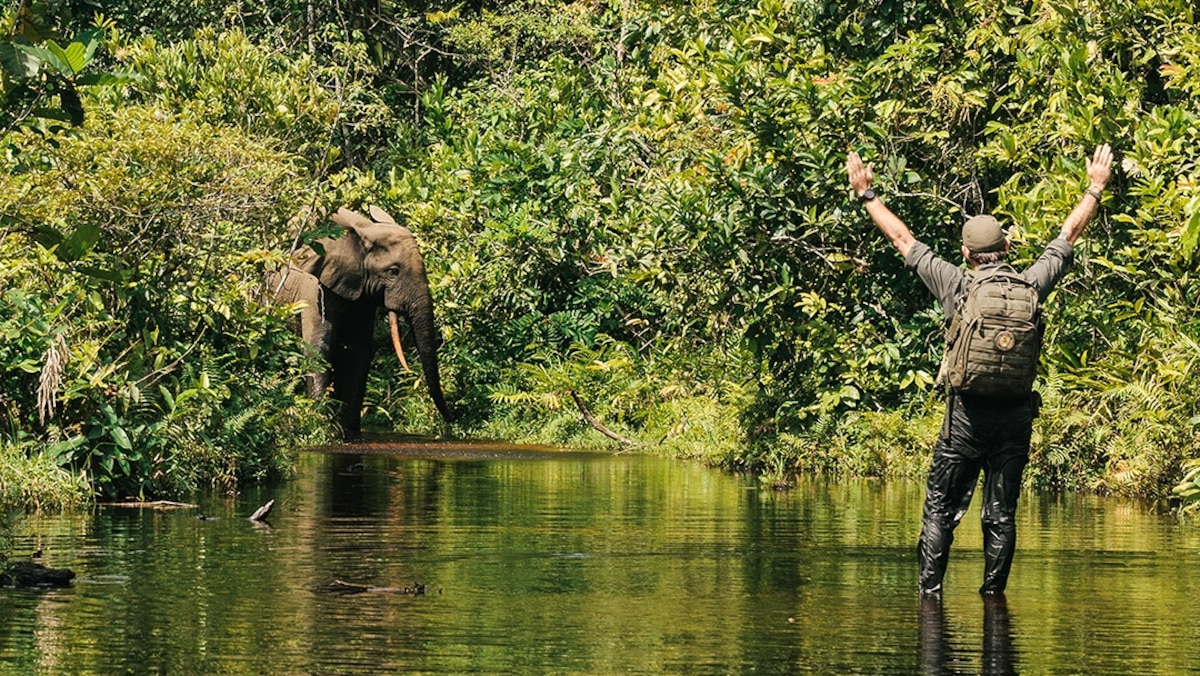 See 'the lungs of Africa' through the eyes of a photographer